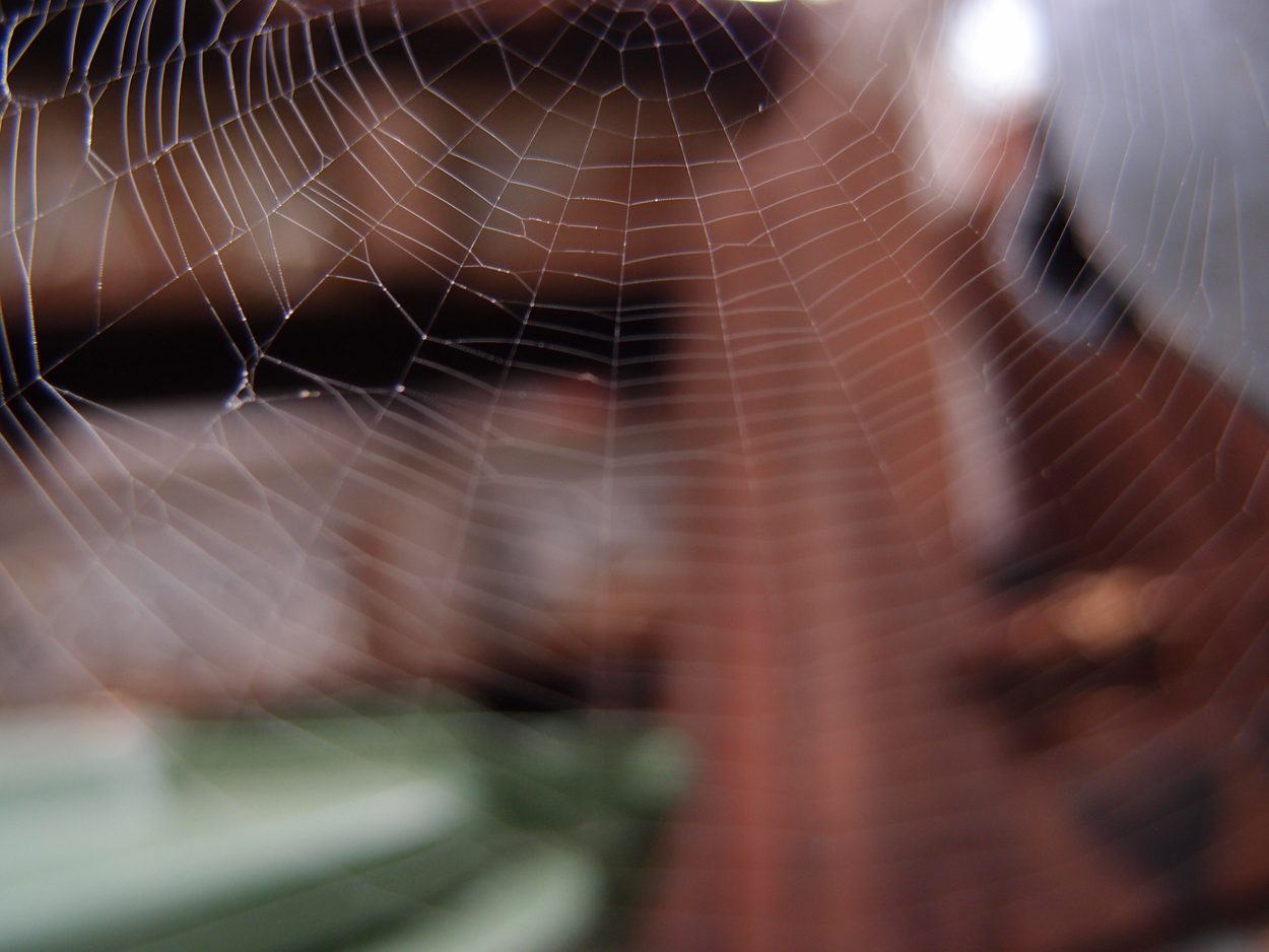 2019-09-17 Netze