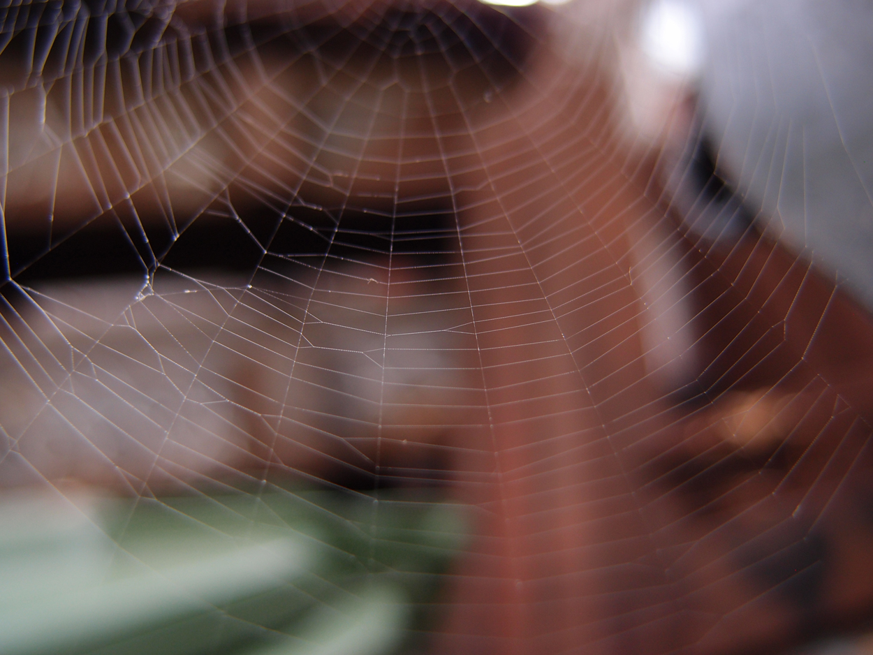 2019-09-17 Netze