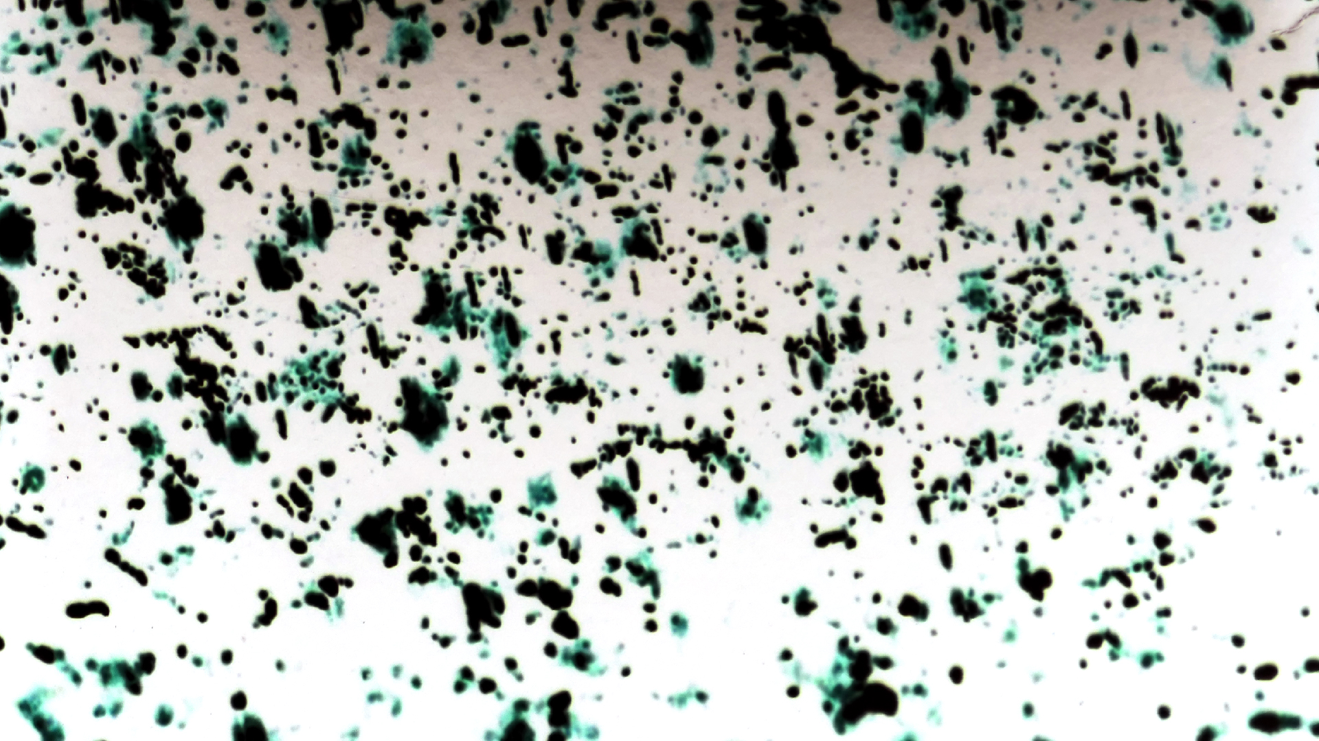 2022-01-03 John Cage - Complete Song Books (KR029) (2016) (2V) (Mix und Remix)