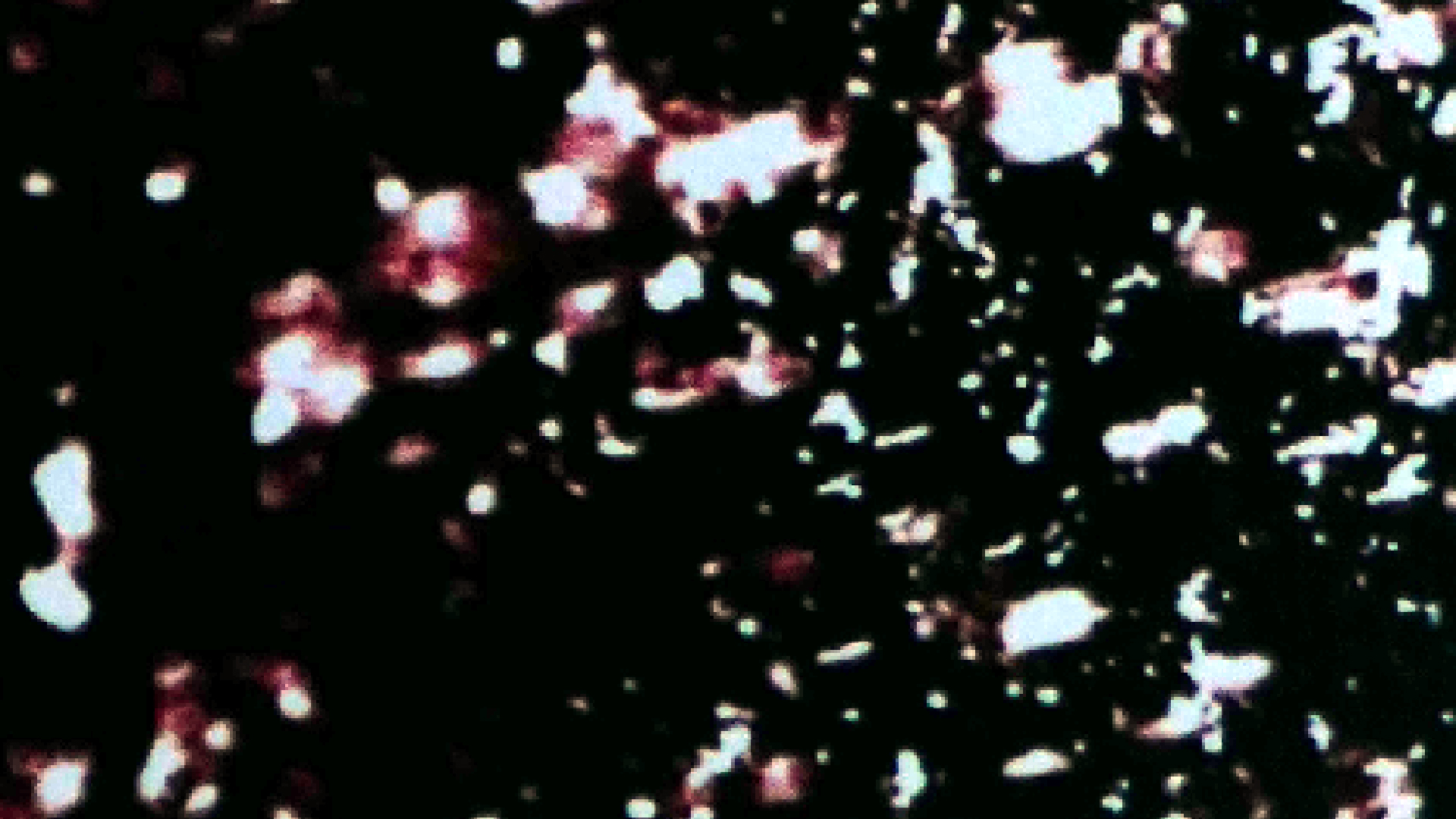 2022-01-03 John Cage - Complete Song Books (KR029) (2016) (2V) (Mix und Remix)
