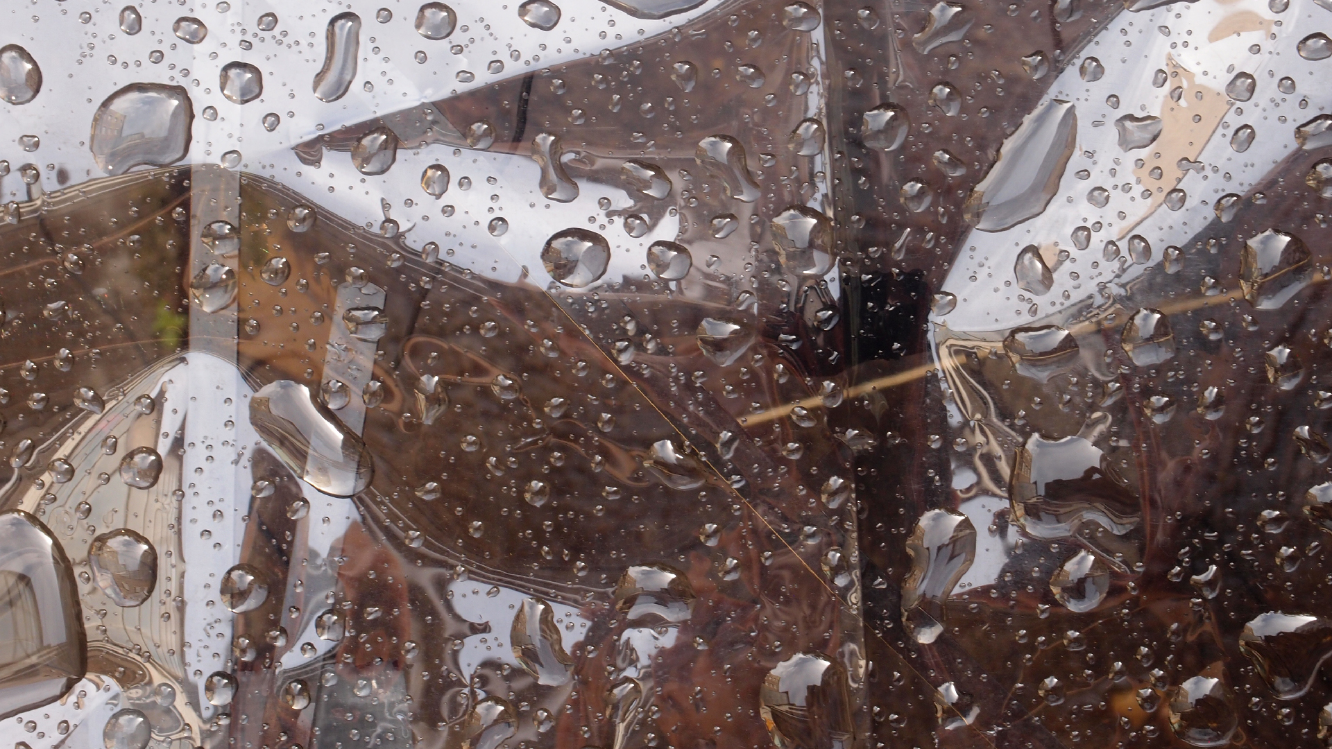 2021-08-26 Das Kleine Regen Rhythmus Orchester spielt 'Autonome Beats' (Holz & Folie)