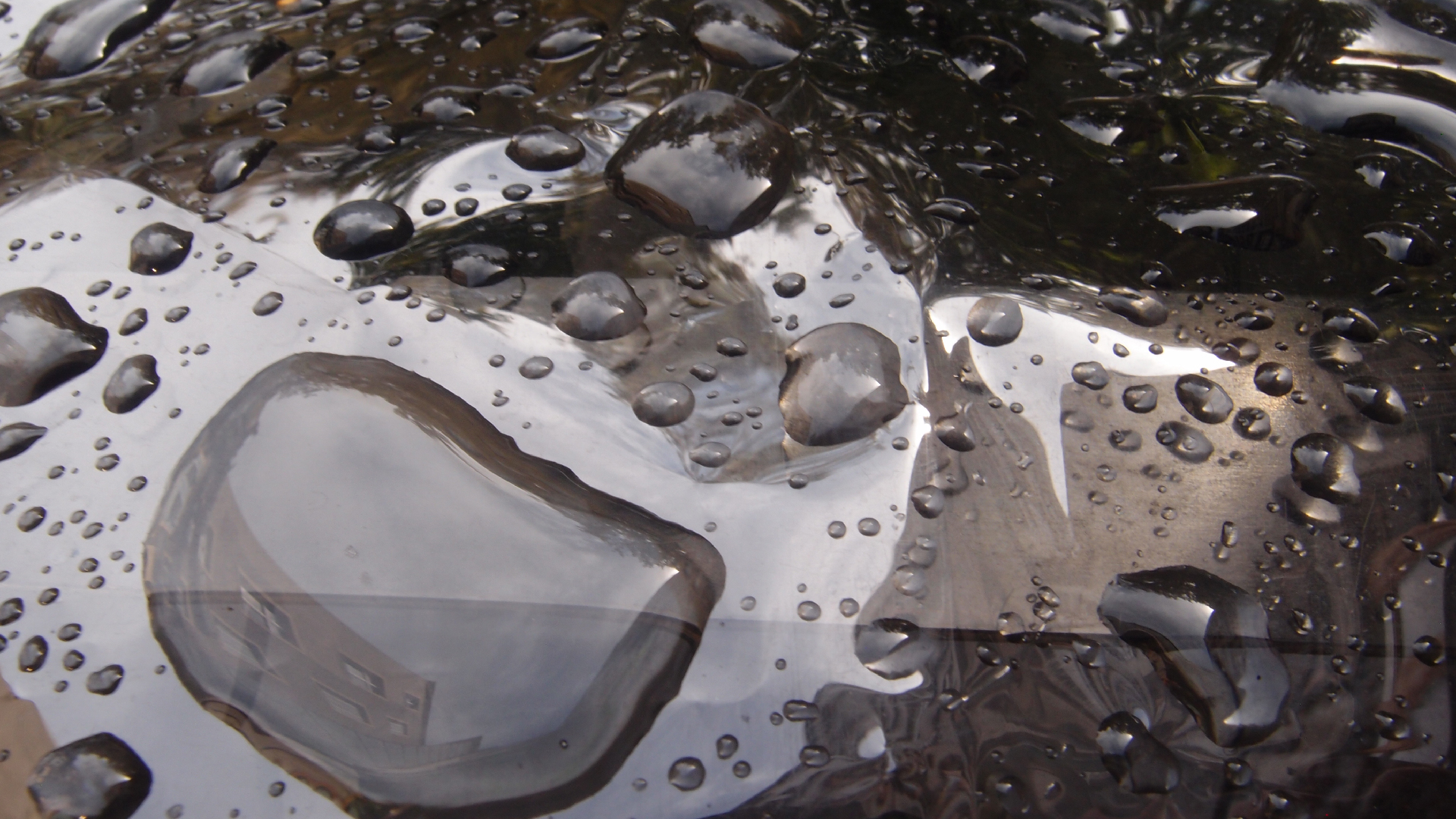 2021-08-26 Das Kleine Regen Rhythmus Orchester spielt 'Autonome Beats' (Holz & Folie)
