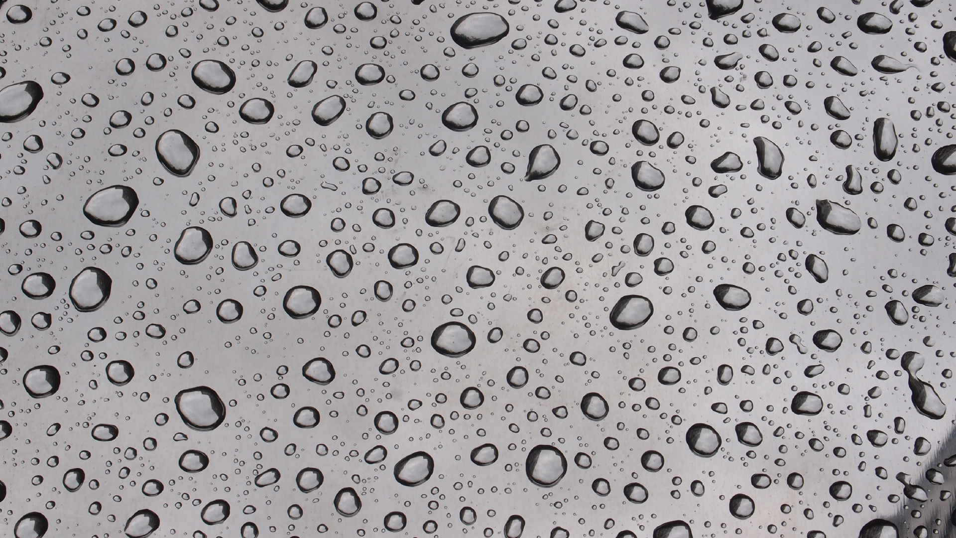 2021-08-30 Das Kleine Regen Rhythmus Orchester spielt 'autonome Beats' (Blech-Mlleimer mit Plastikbehlter)
