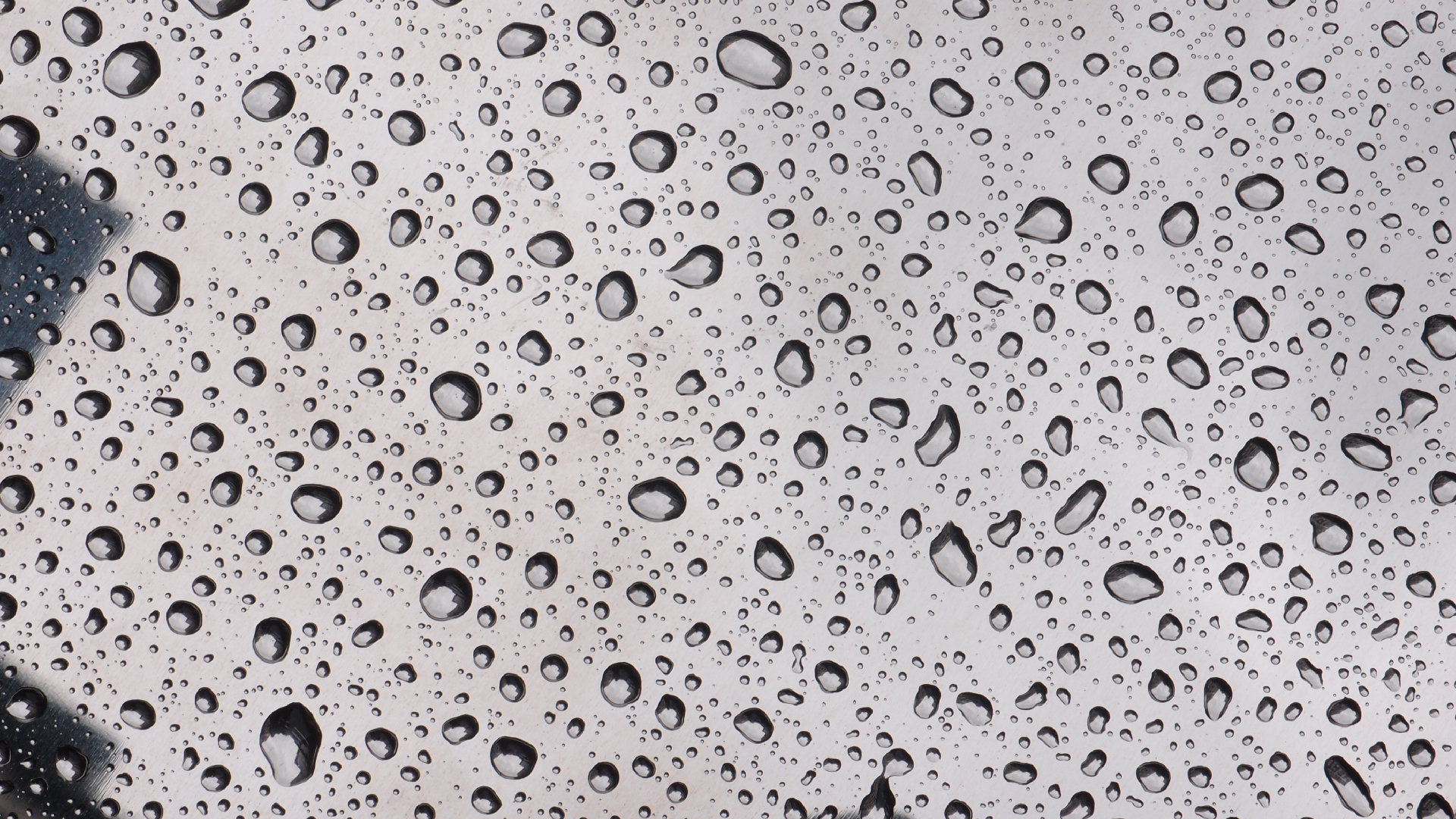 2021-08-30 Das Kleine Regen Rhythmus Orchester spielt 'autonome Beats' (Blech-Mlleimer mit Plastikbehlter)