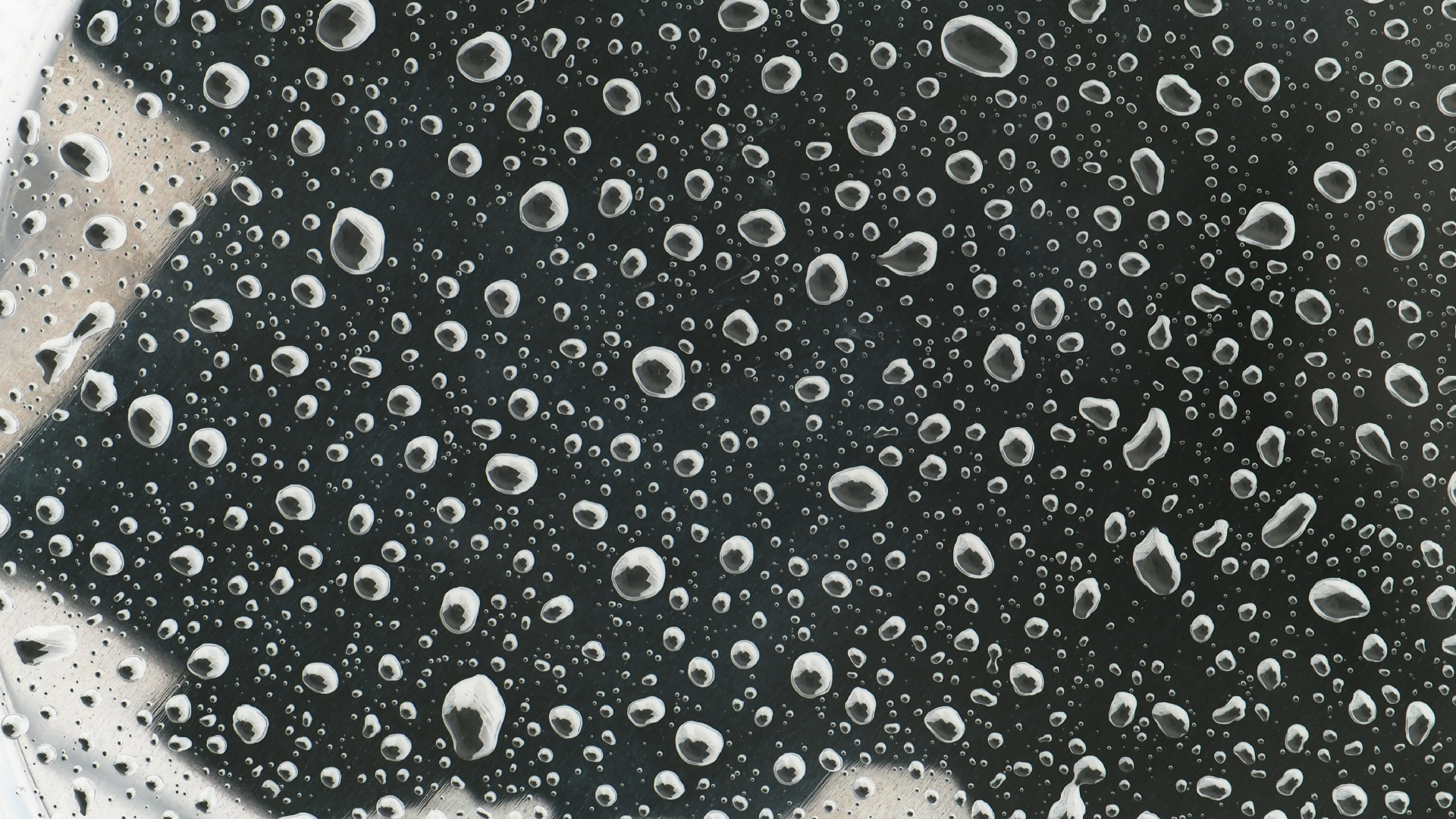 2021-08-30 Das Kleine Regen Rhythmus Orchester spielt 'autonome Beats' (Blech-Mlleimer mit Plastikbehlter)