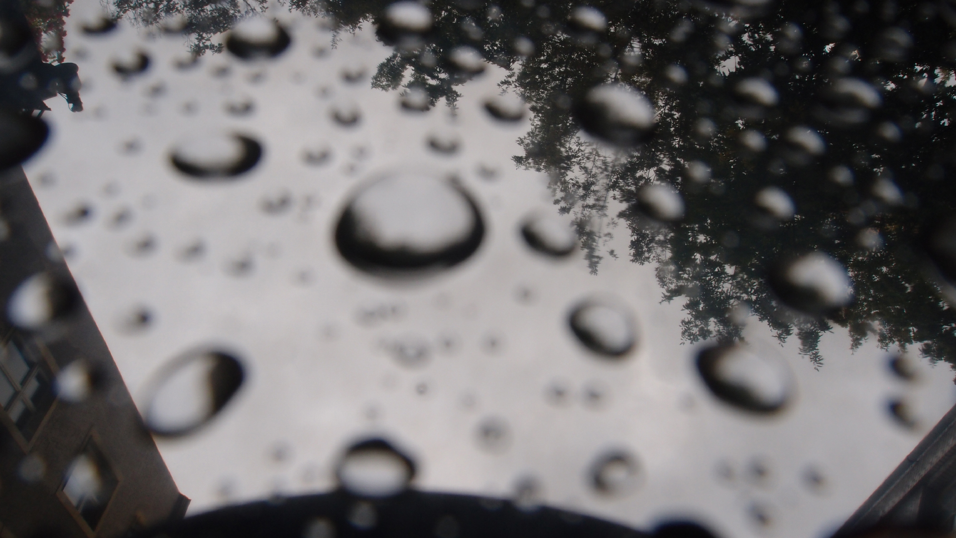 2021-08-30 Das Kleine Regen Rhythmus Orchester spielt 'autonome Beats' (Blech-Mlleimer mit Plastikbehlter)