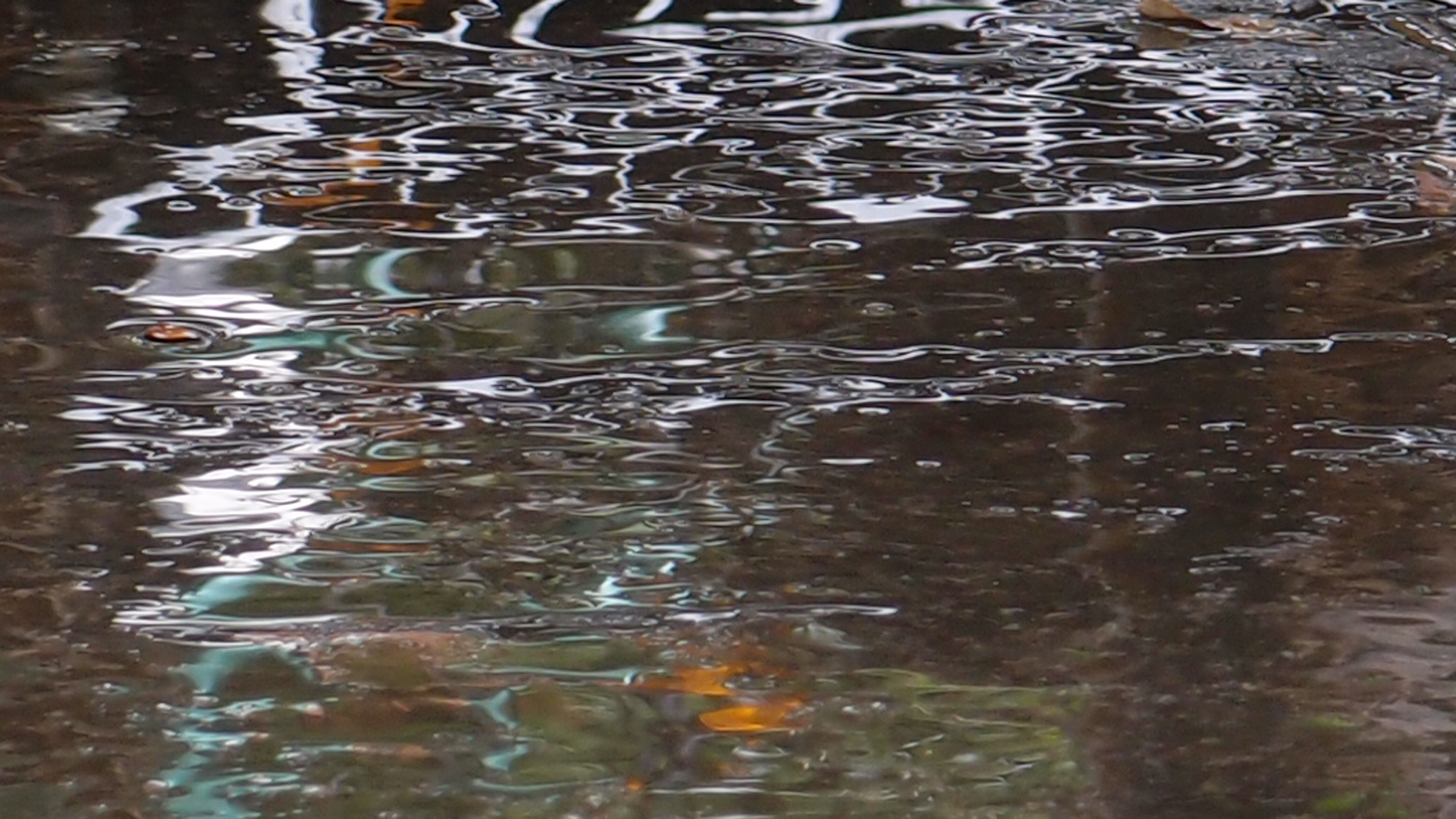 2021-09 Das Kleine Regen Rhythmus Orchester (Banjo) spielt 'Autonome Beats' (Audio, Video, Grafk, Foto)