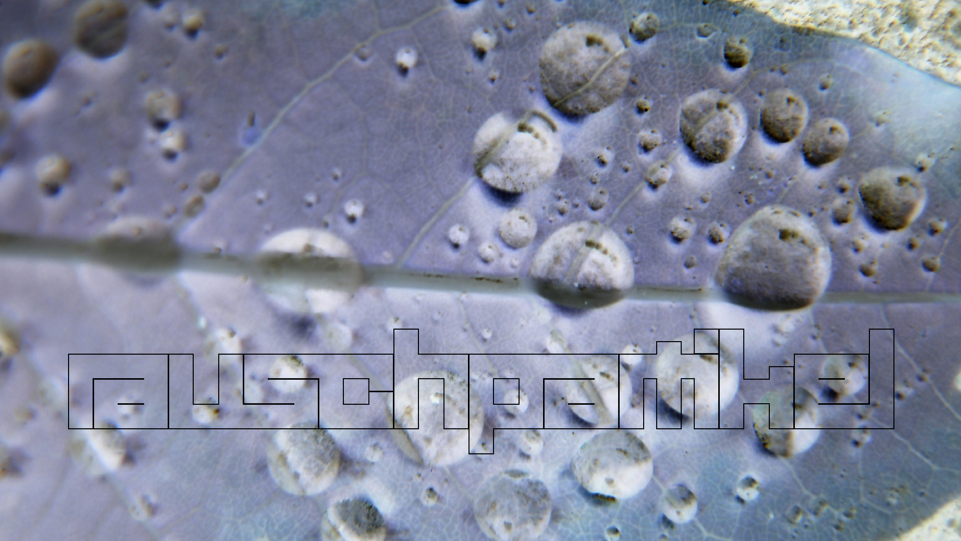 2021-10-25 Vocoder mit 2 Tonbndern (Audio, Foto, Grafk)