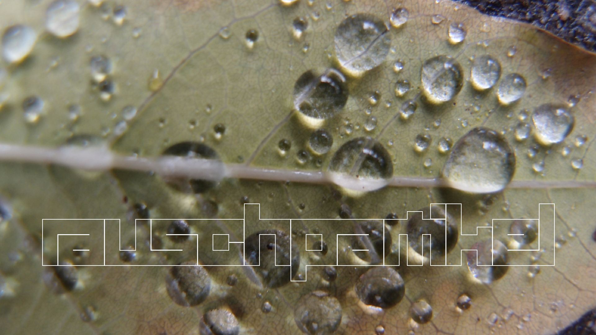2021-10-25 Vocoder mit 2 Tonbndern (Audio, Foto, Grafk)