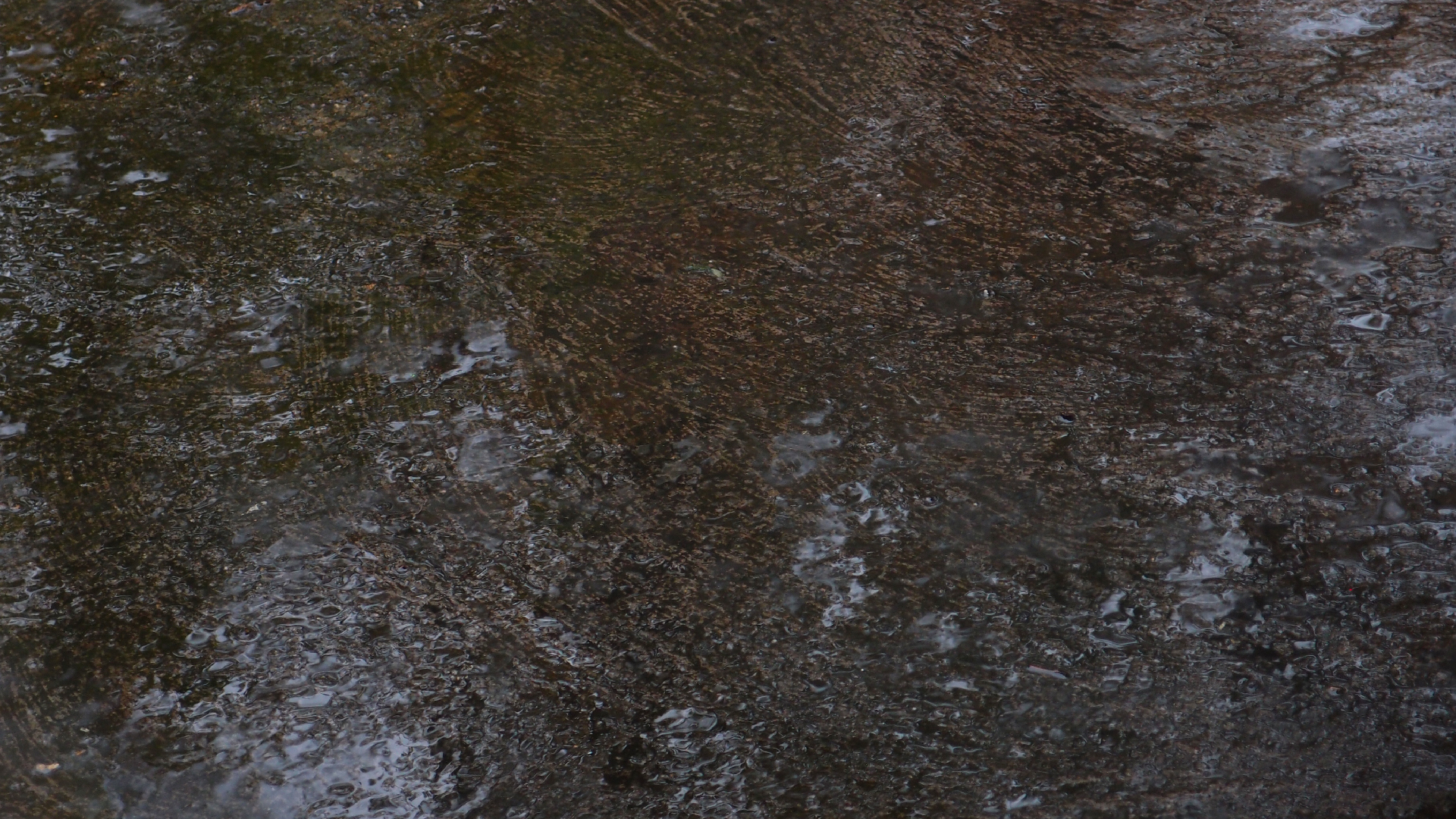 2021-11-04 Das Kleine Regen Rhythmus Orchester (5 Plastiktten) (Audio, Foto, Grafik)