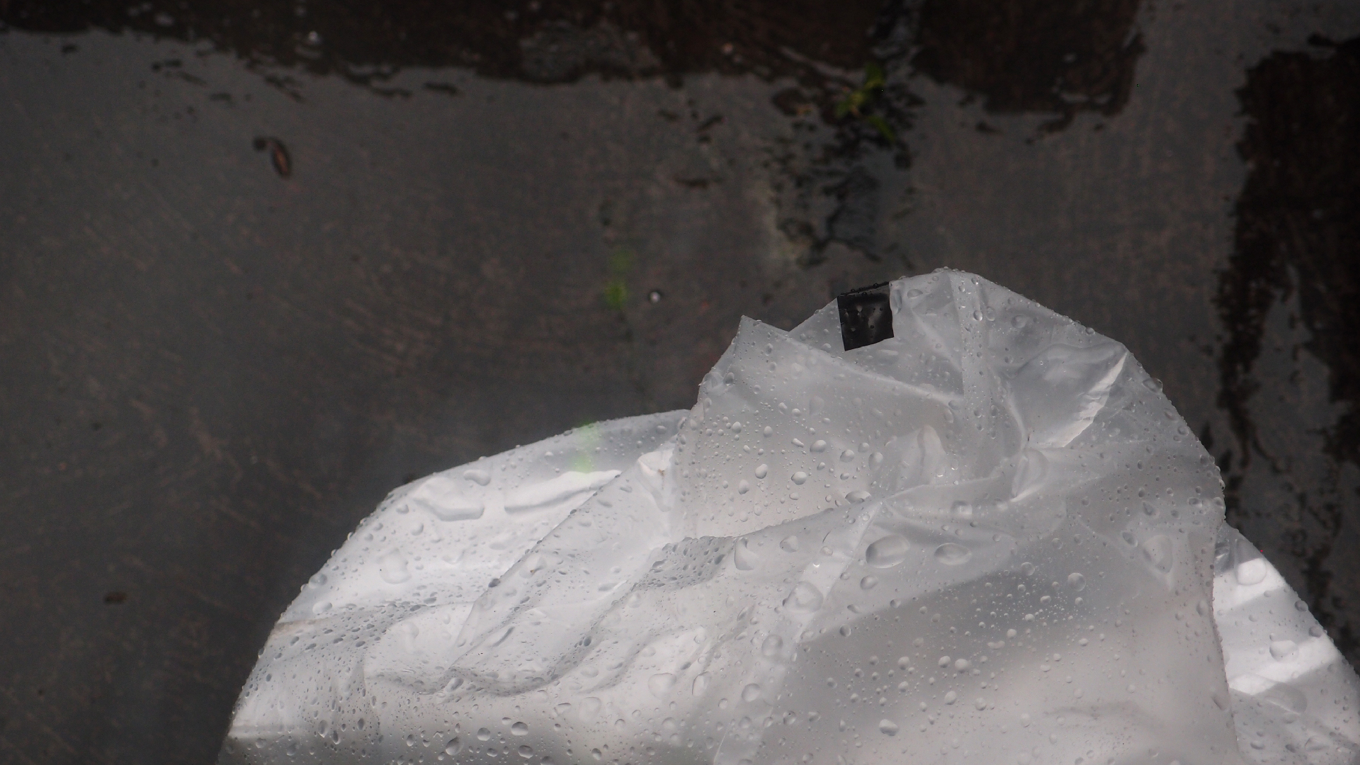 2021-11-04 Das Kleine Regen Rhythmus Orchester (5 Plastiktten) (Audio, Foto, Grafik)