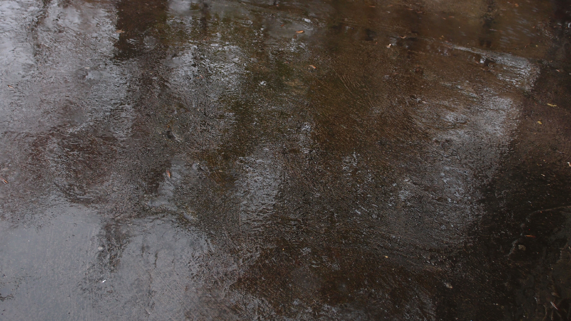 2021-11-04 Das Kleine Regen Rhythmus Orchester (5 Plastiktten) (Audio, Foto, Grafik)