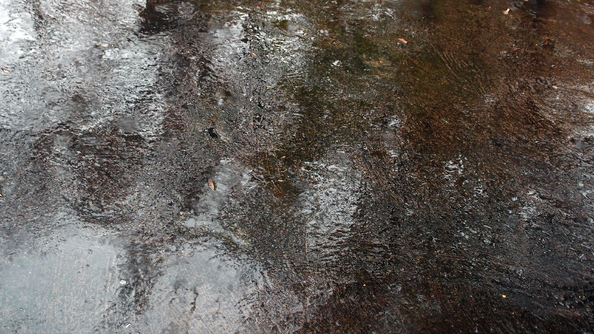2021-11-04 Das Kleine Regen Rhythmus Orchester (5 Plastiktten) (Audio, Foto, Grafik)