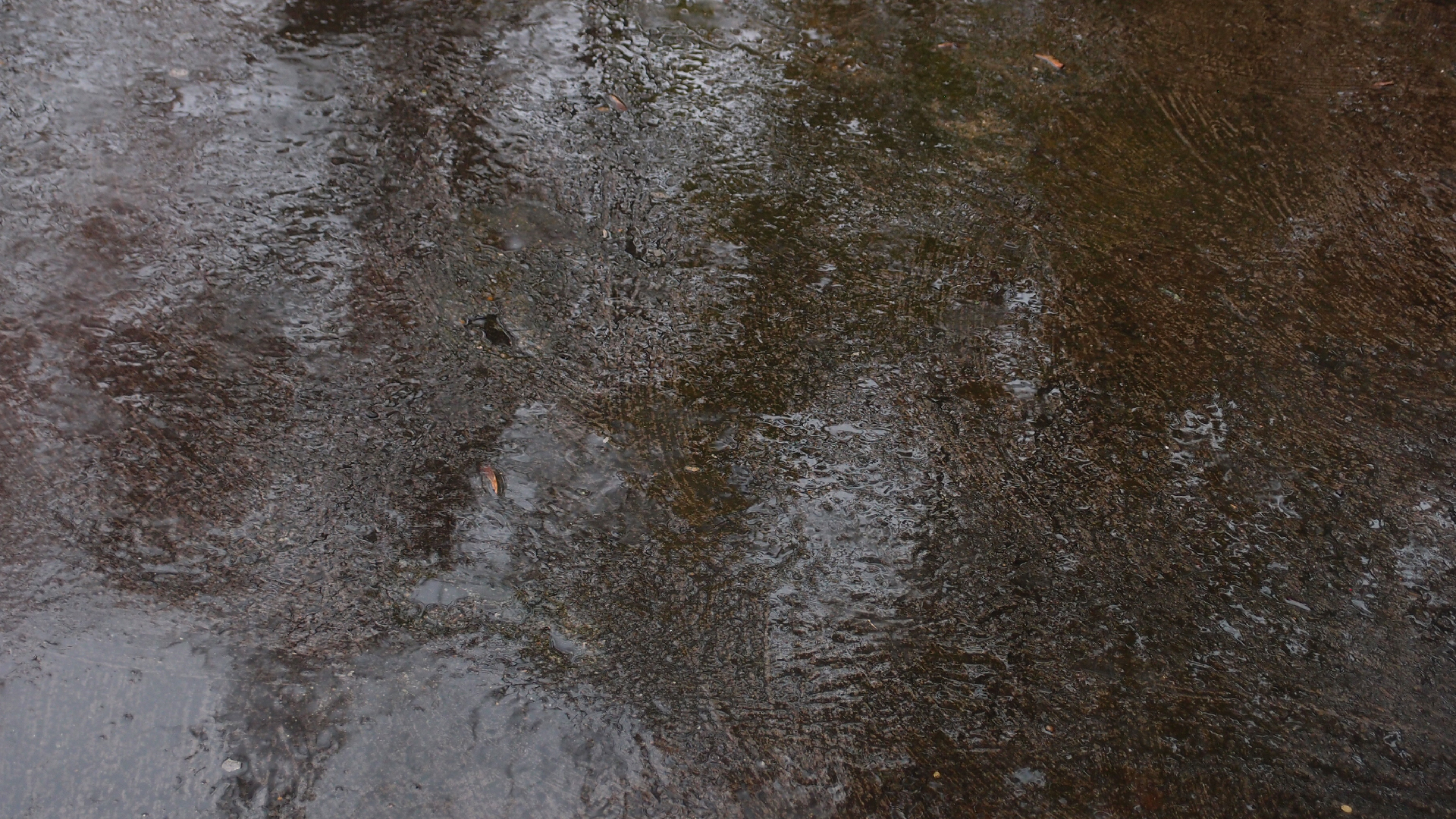 2021-11-04 Das Kleine Regen Rhythmus Orchester (5 Plastiktten) (Audio, Foto, Grafk)