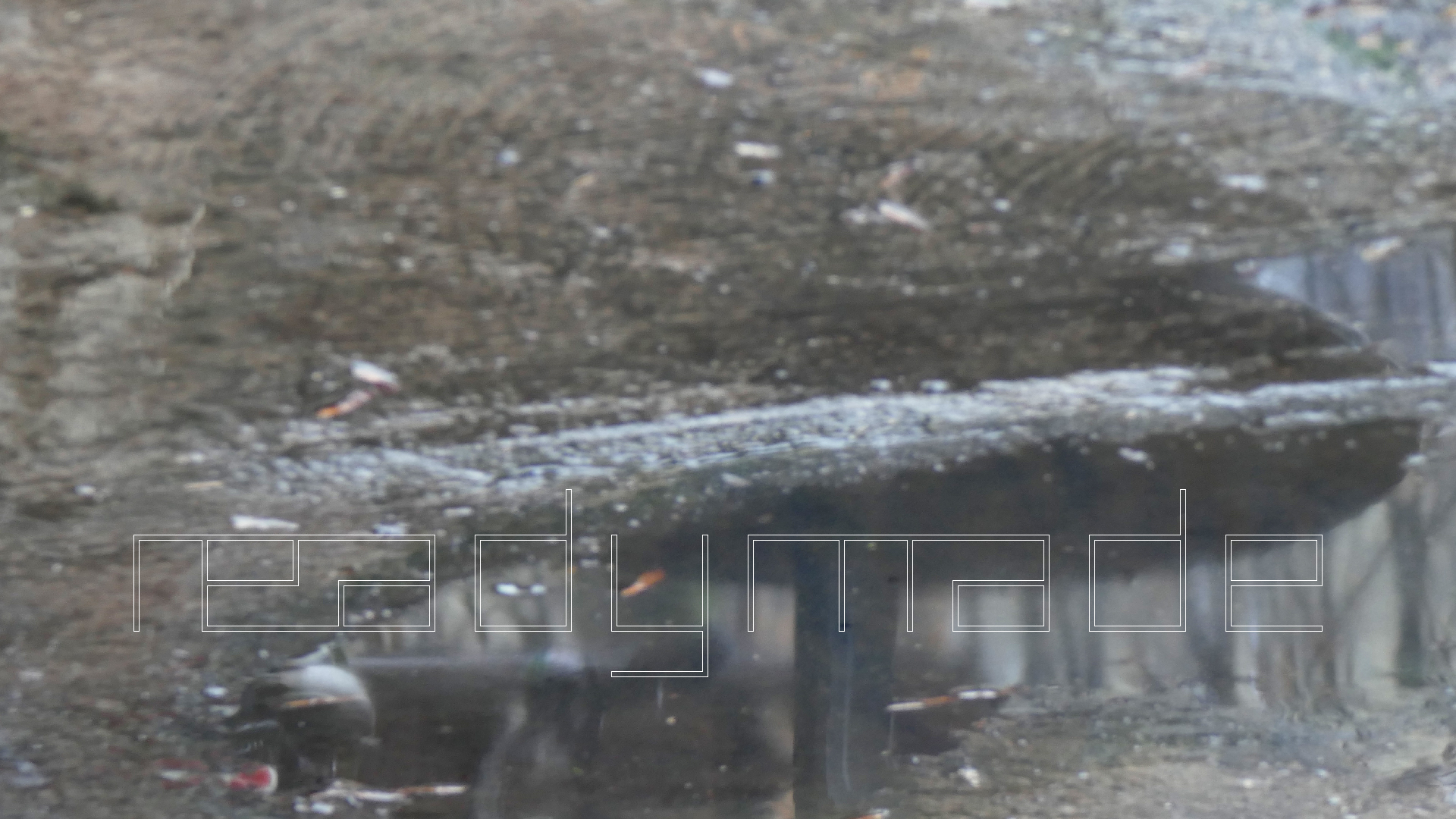 2021-12-30 Das Kleine Regen Rhythmus Orchester (Alufolie) (Audio, Video)