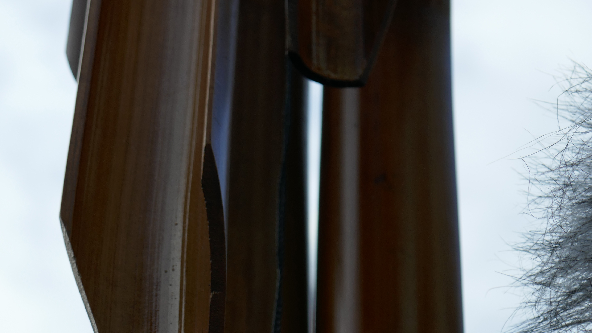 2022-01-03 Das Kleine Regen Rhythmus Orchester (Special Guest: Woodwinds) (Audio, Video)