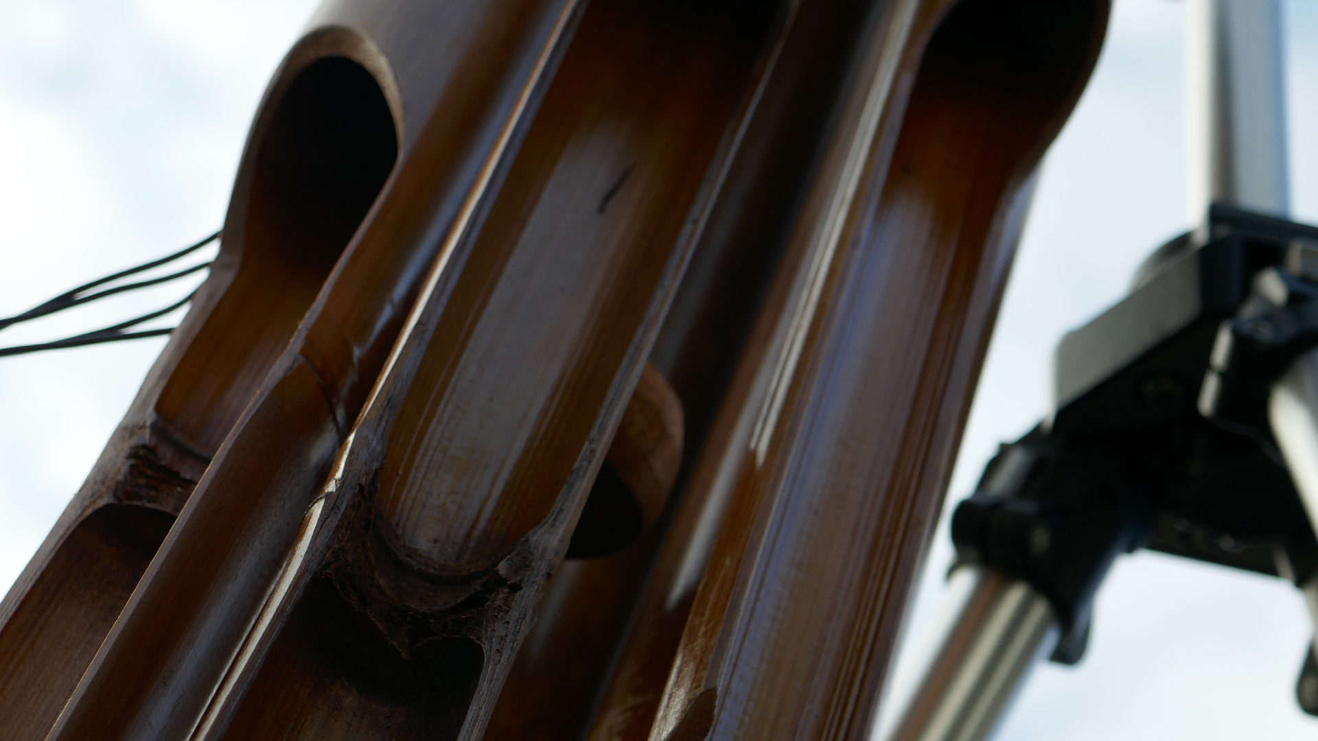 2022-01-03 Das Kleine Regen Rhythmus Orchester (Special Guest: Woodwinds) (Audio, Video)
