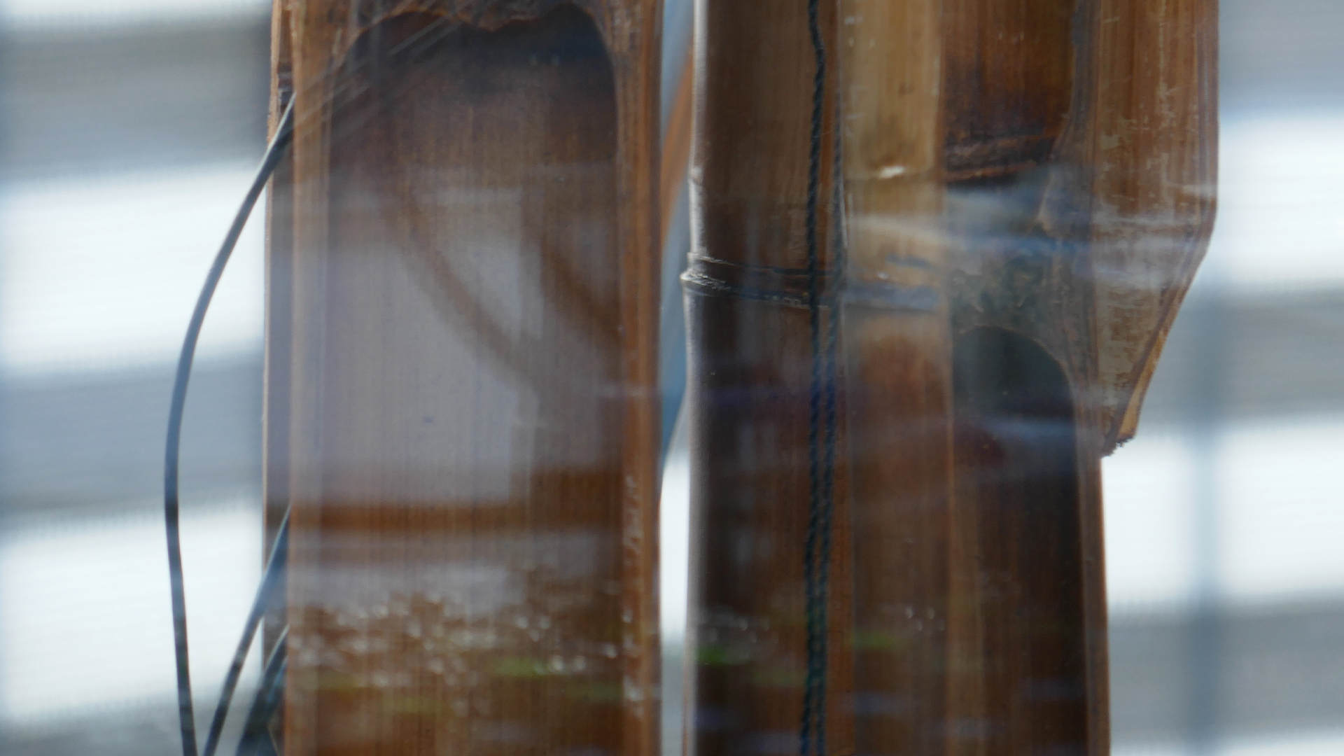 2022-01-03 Das Kleine Regen Rhythmus Orchester (Special Guest: Woodwinds) (Audio, Video)