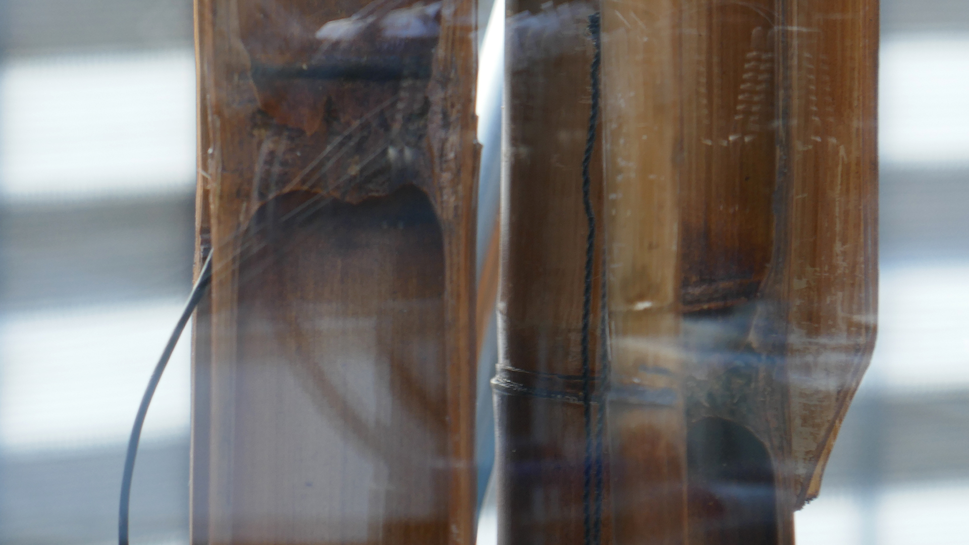 2022-01-03 Das Kleine Regen Rhythmus Orchester (Special Guest: Woodwinds) (Audio, Video)