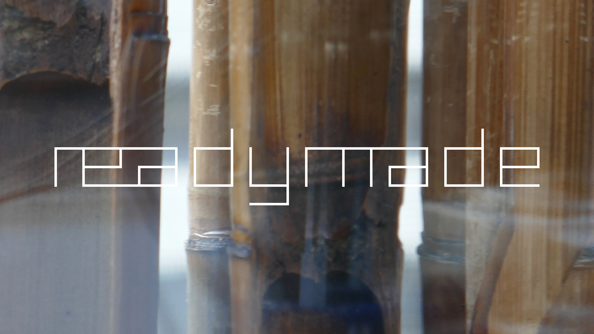 2022-01-03 Das Kleine Regen Rhythmus Orchester (Special Guest: Woodwinds) (Audio, Video)