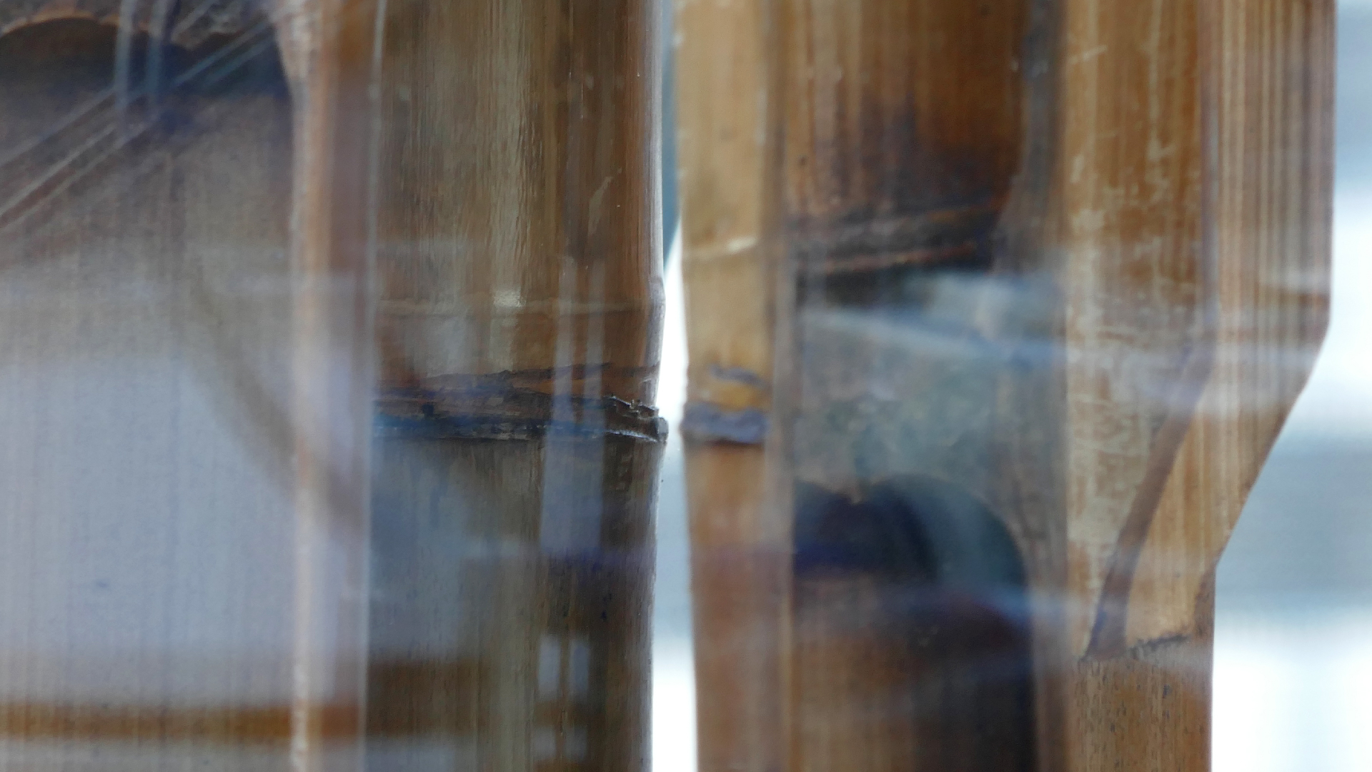 2022-01-03 Das Kleine Regen Rhythmus Orchester (Special Guest: Woodwinds) (Audio, Video)