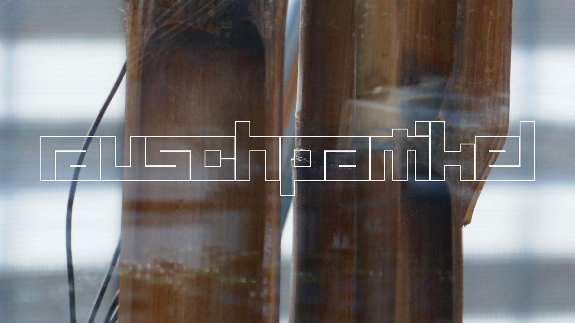 2022-01-03 Das Kleine Regen Rhythmus Orchester (Special Guest: Woodwinds) (Audio, Video)