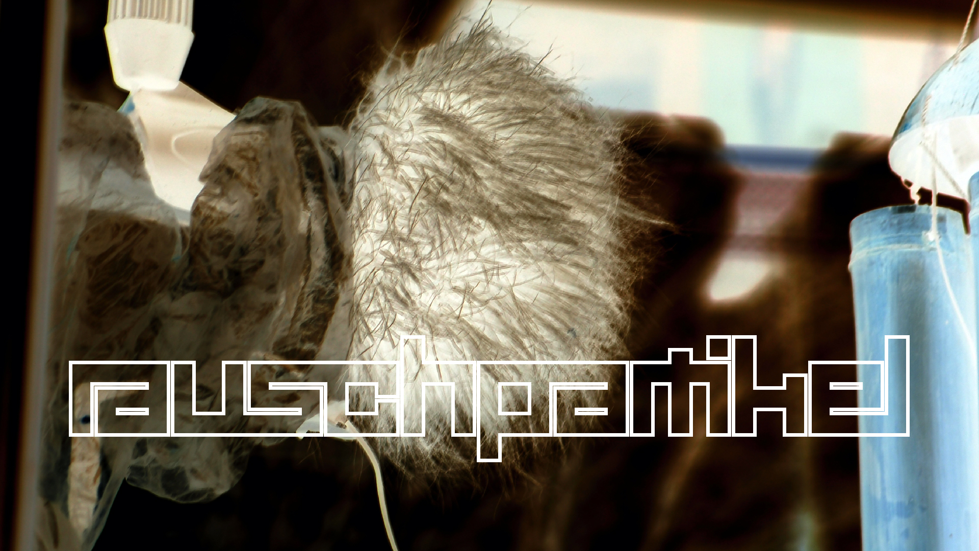 2022-01-20 Das Kleine Regen Rhythmus Orchester (Special Guest: Woodwinds II) (Audio, Video)