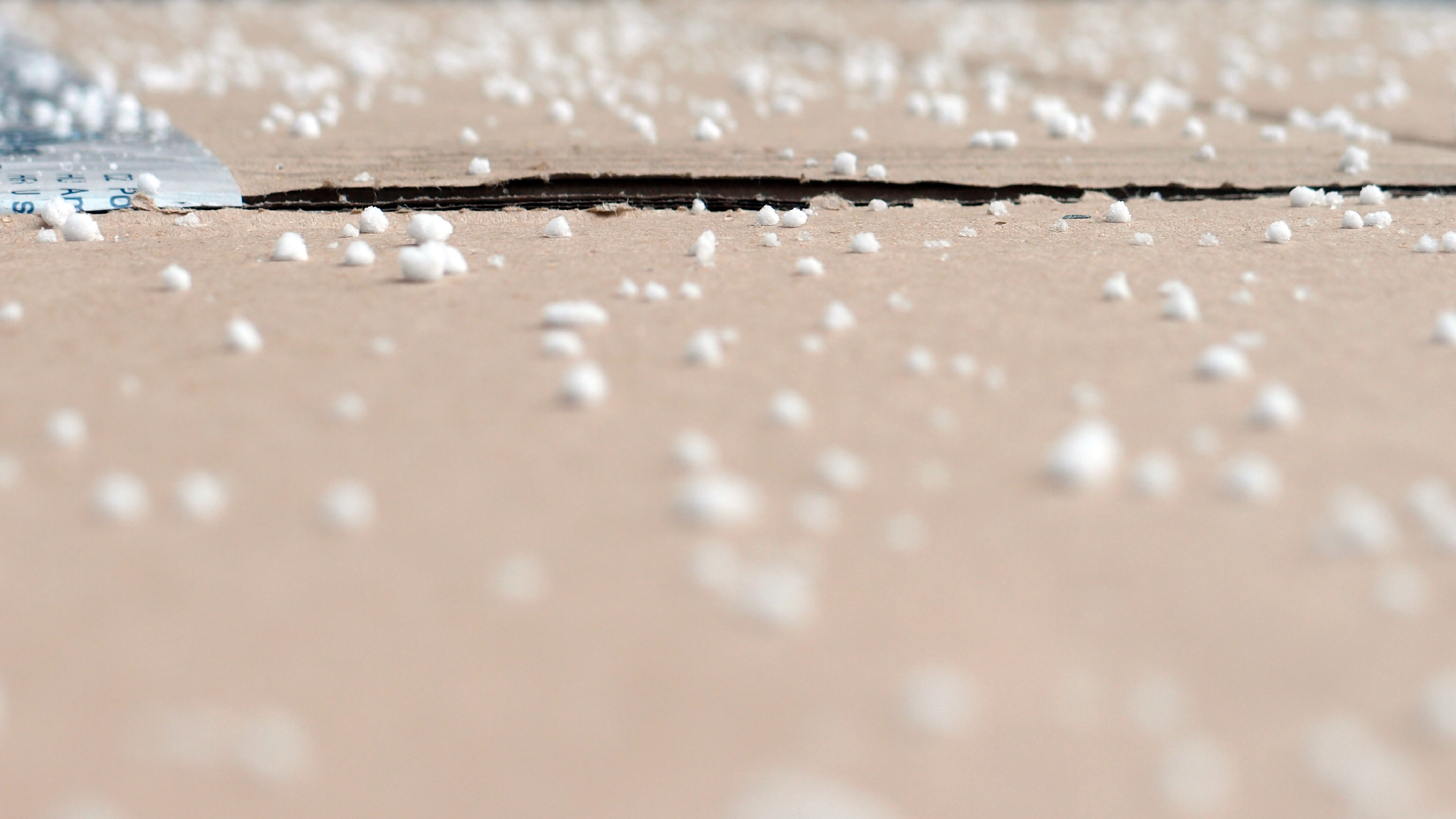 2022-01-20 Das Kleine Regen Rhythmus Orchester (Special Guest: Woodwinds II) (Audio, Video)