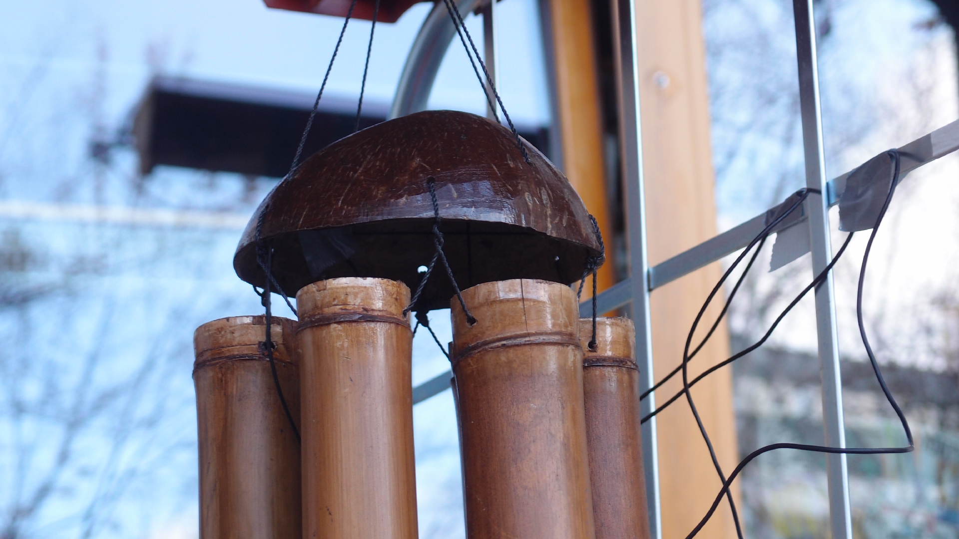 2022-01-20 Das Kleine Regen Rhythmus Orchester (Special Guest: Woodwinds II) (Audio, Video)