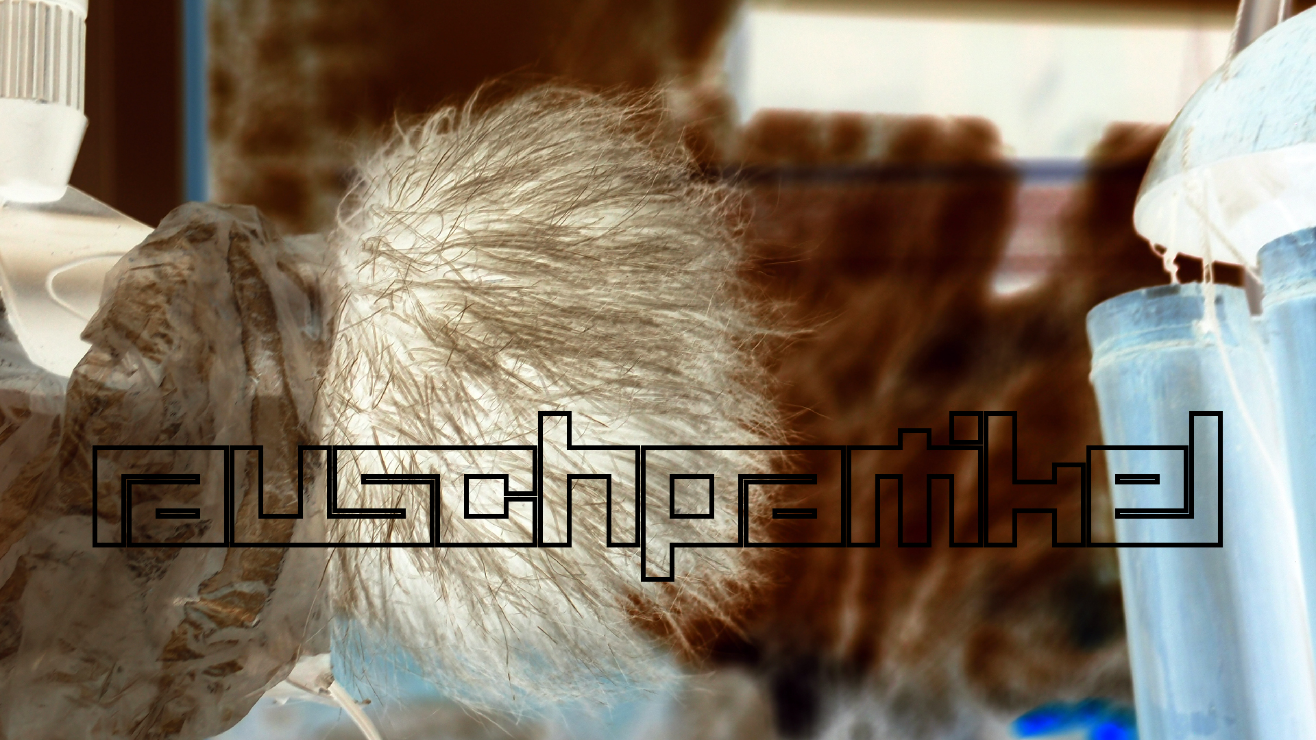 2022-01-20 Das Kleine Regen Rhythmus Orchester (Special Guest: Woodwinds II) (Audio, Video)