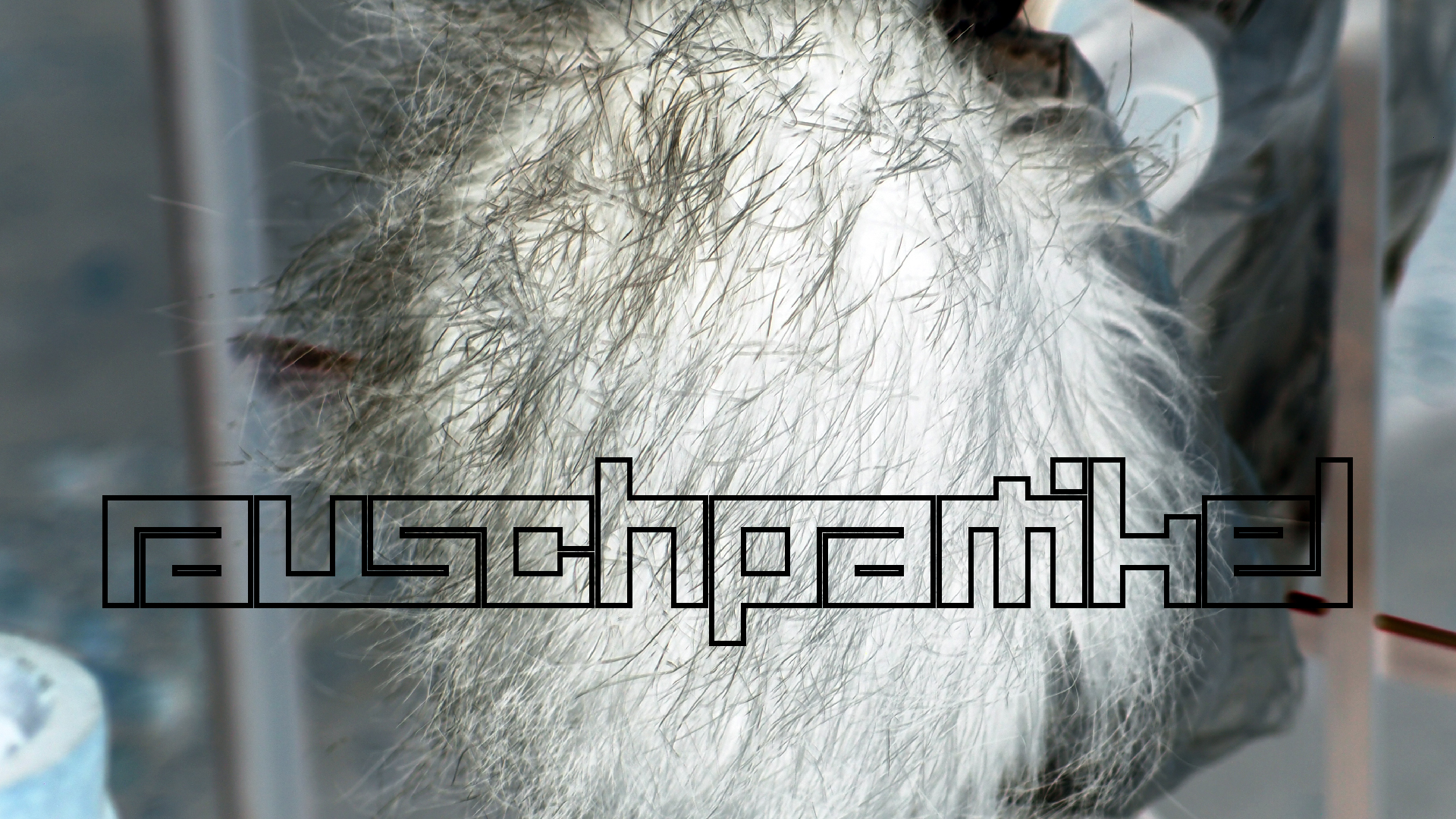 2022-01-20 Das Kleine Regen Rhythmus Orchester (Special Guest: Woodwinds II) (Audio, Video)