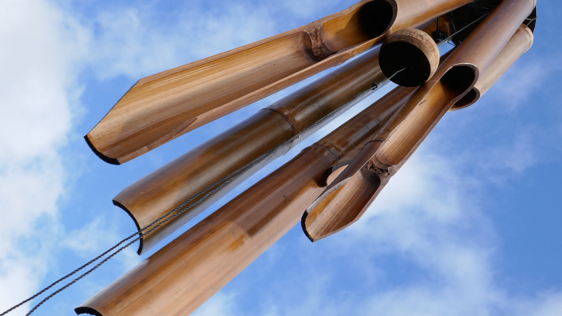 2022-01-28 Das Kleine Regen Rhythmus Orchester (Special Guest: Woodwinds III) (aufm Dach) (Audio, Video)