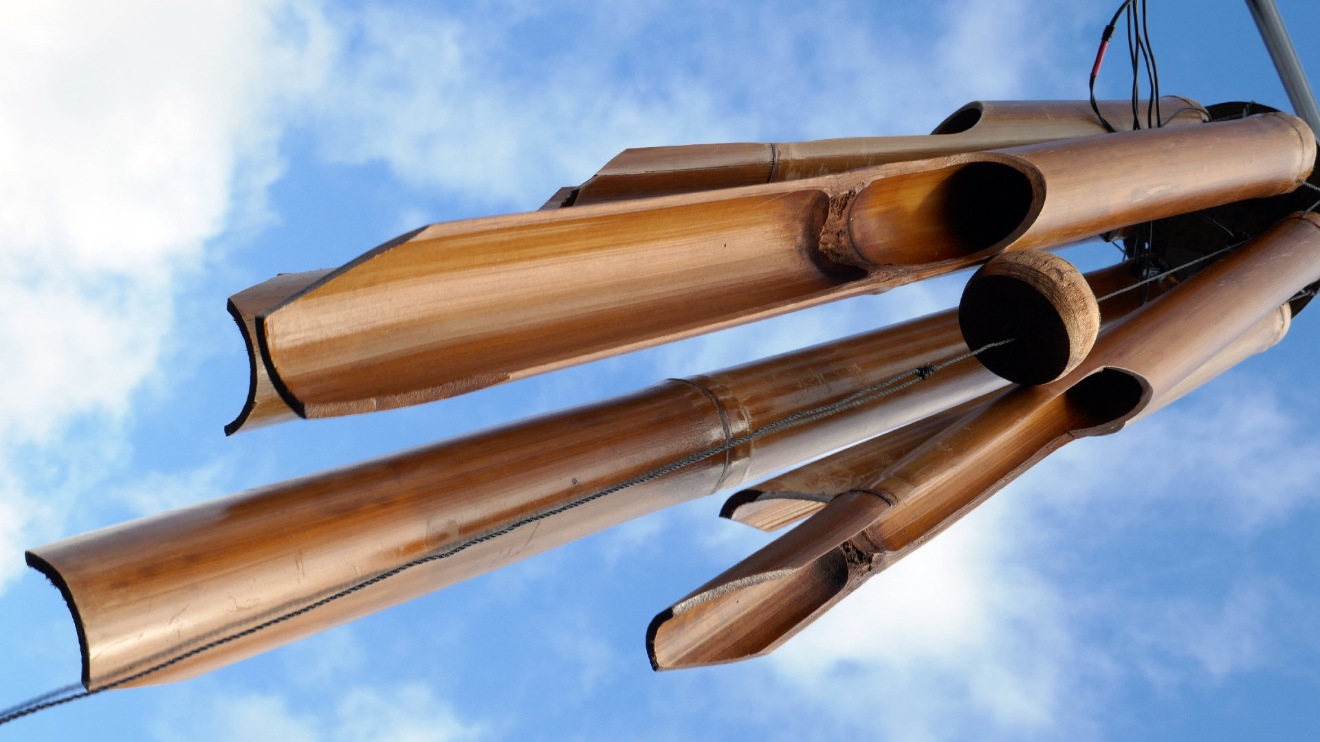 2022-01-28 Das Kleine Regen Rhythmus Orchester (Special Guest: Woodwinds III) (aufm Dach) (Audio, Video)