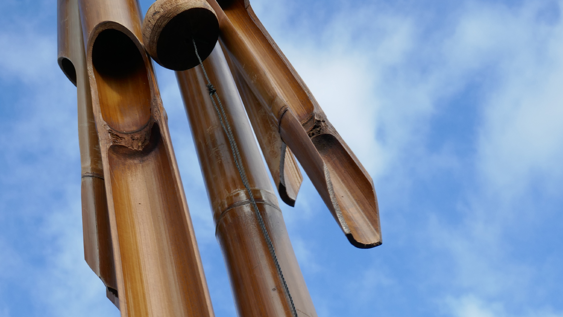 2022-01-28 Das Kleine Regen Rhythmus Orchester (Special Guest: Woodwinds III) (aufm Dach) (Audio, Video)