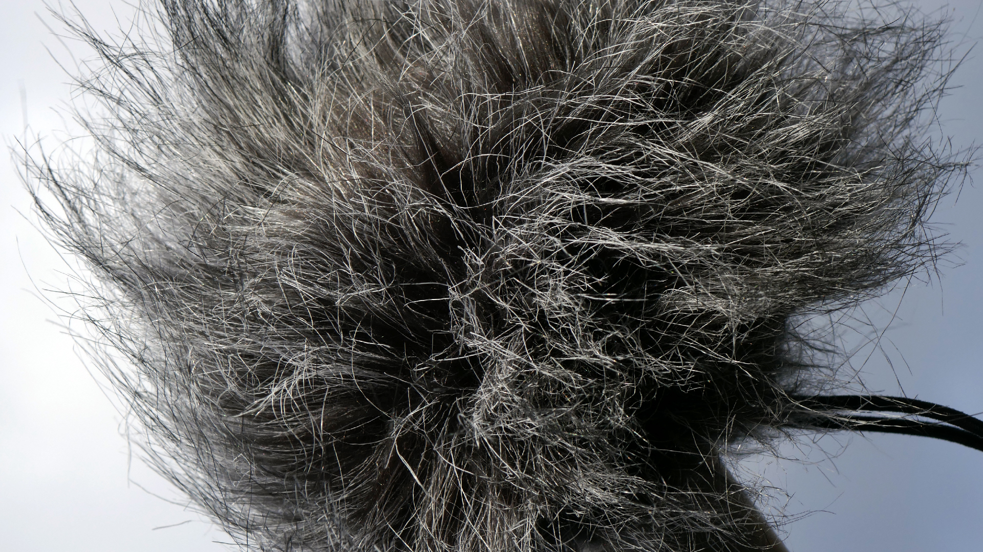 2022-01-28 Das Kleine Regen Rhythmus Orchester (Special Guest: Woodwinds III) (aufm Dach) (Audio, Video)