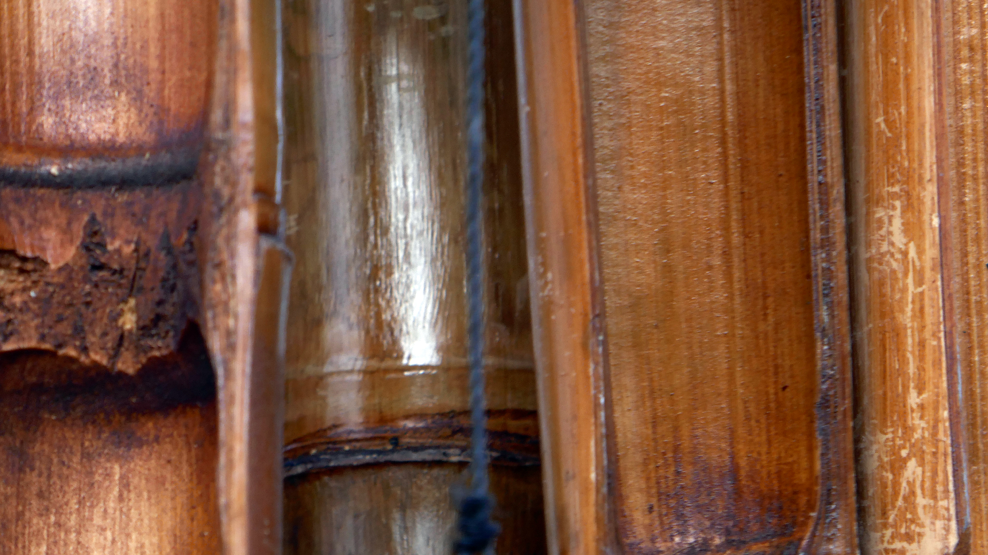 2022-01-28 Das Kleine Regen Rhythmus Orchester (Special Guest: Woodwinds III) (aufm Dach) (Audio, Video)