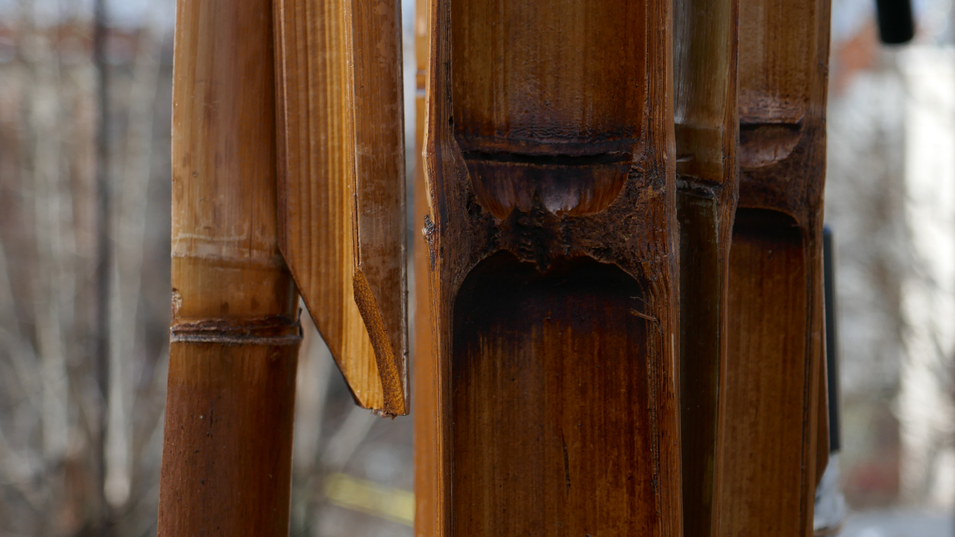 2022-01-28 Das Kleine Regen Rhythmus Orchester (Special Guest: Woodwinds III) (aufm Dach) (Audio, Video)