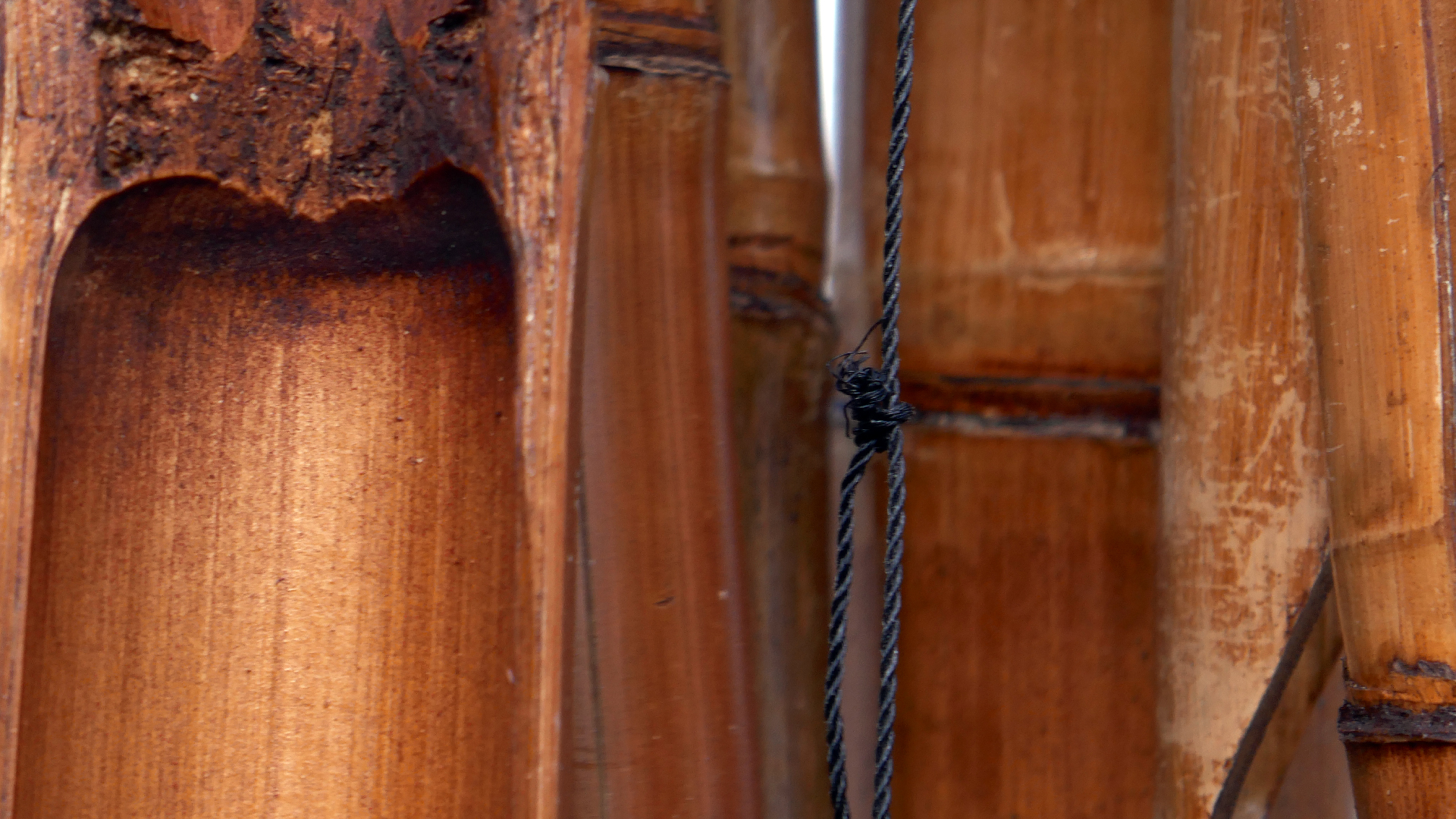 2022-01-28 Das Kleine Regen Rhythmus Orchester (Special Guest: Woodwinds III) (aufm Dach) (Audio, Video)