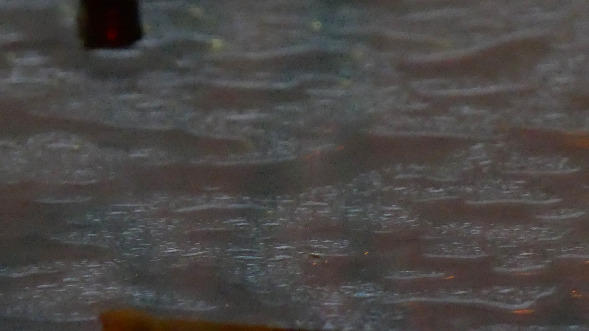 2022-02-01 Das Kleine Regen Rhythmus Orchester (Fensterglas) (Audio, Video)