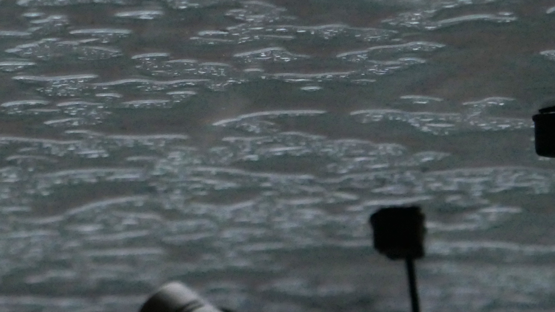 2022-02-01 Das Kleine Regen Rhythmus Orchester (Fensterglas) (Audio, Video)
