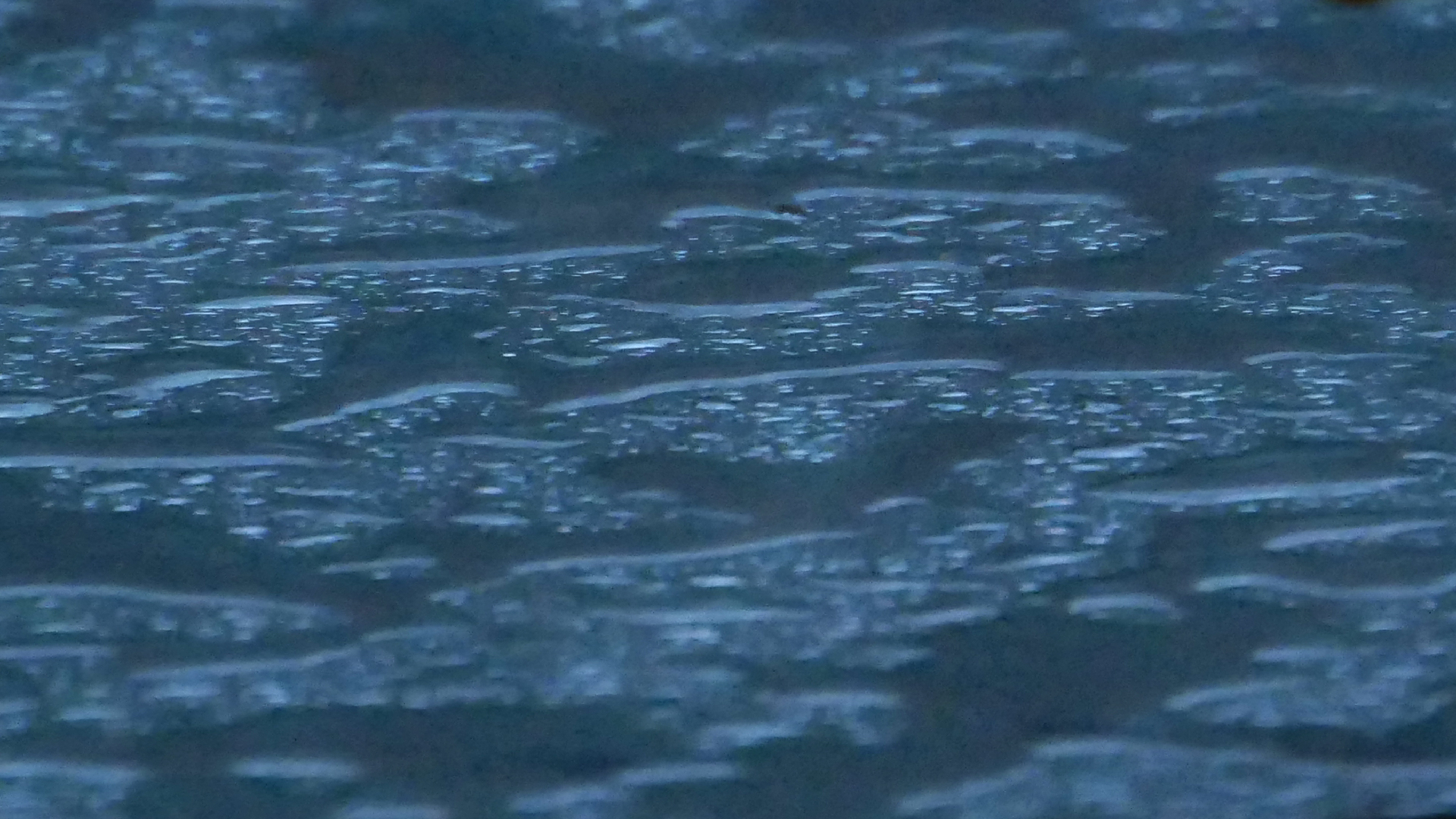 2022-02-01 Das Kleine Regen Rhythmus Orchester (Fensterglas) (Audio, Video)