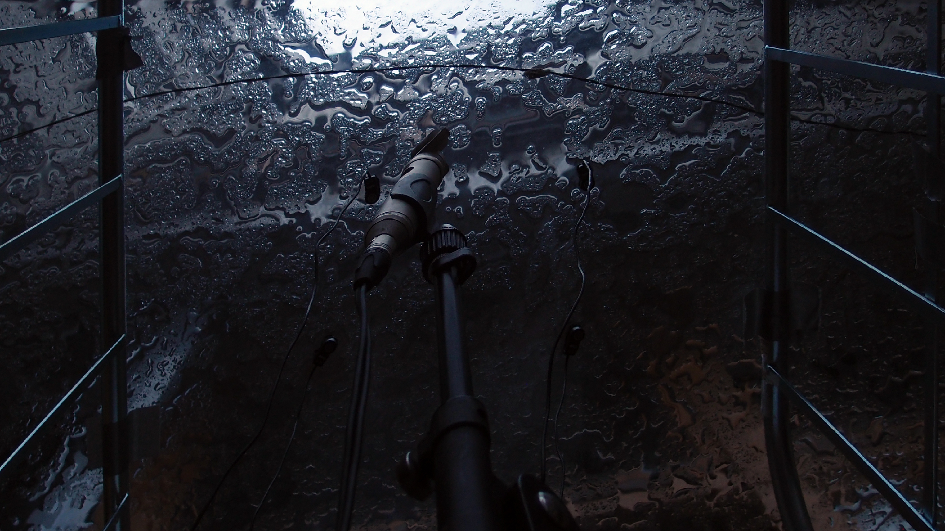 2022-02-01 Das Kleine Regen Rhythmus Orchester (Fensterglas) (Audio, Video)