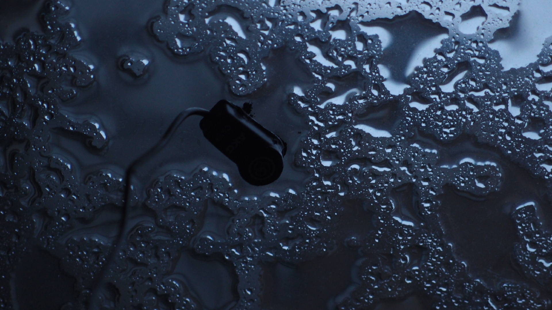 2022-02-01 Das Kleine Regen Rhythmus Orchester (Fensterglas) (Audio, Video)