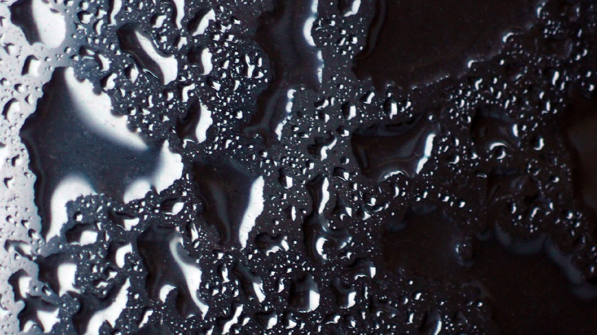 2022-02-01 Das Kleine Regen Rhythmus Orchester (Fensterglas) (Audio, Video)