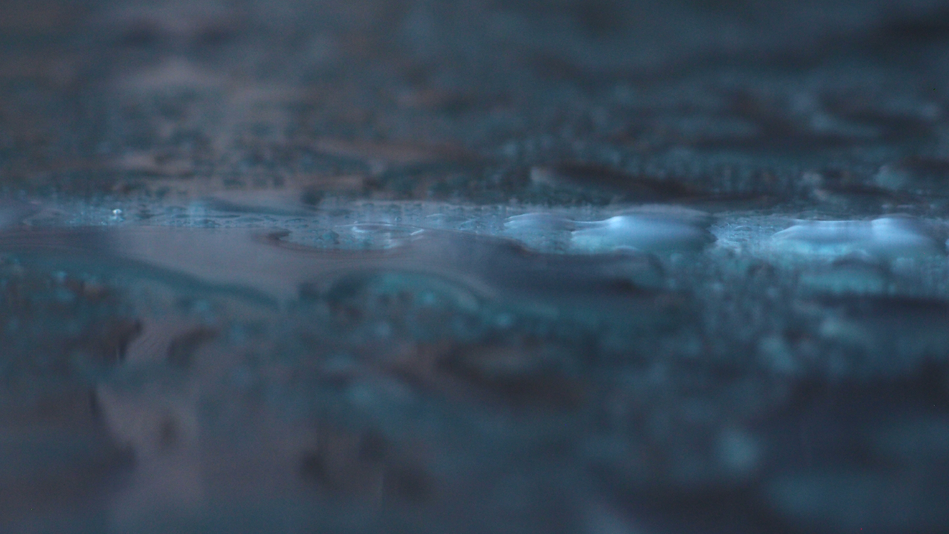 2022-02-01 Das Kleine Regen Rhythmus Orchester (Fensterglas) (Audio, Video)