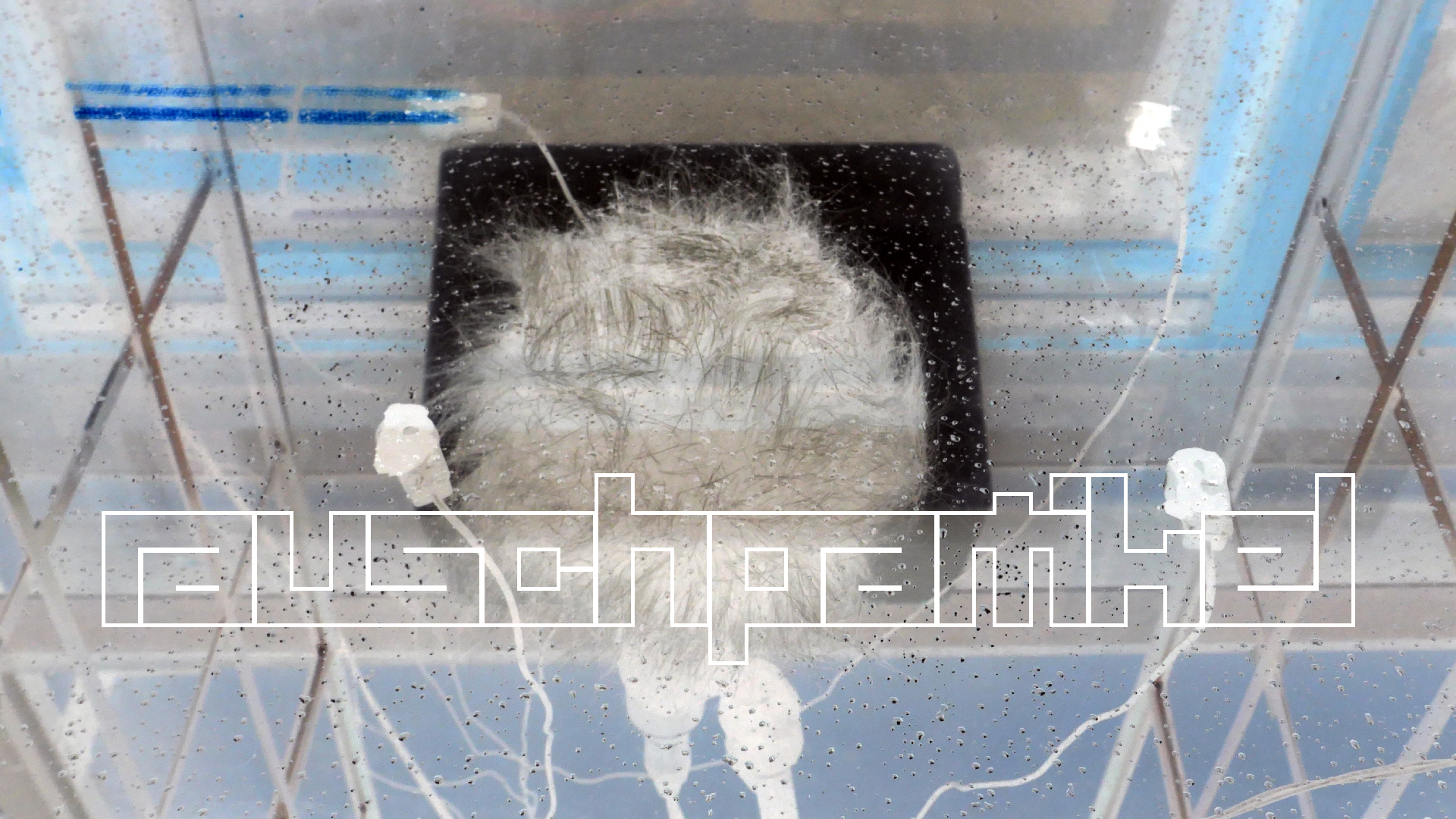 2022-02-16 Das Kleine Regen Rhythmus Orchester (Fensterglas einfach, im Bilderrahmen, III) (Audio, Video)