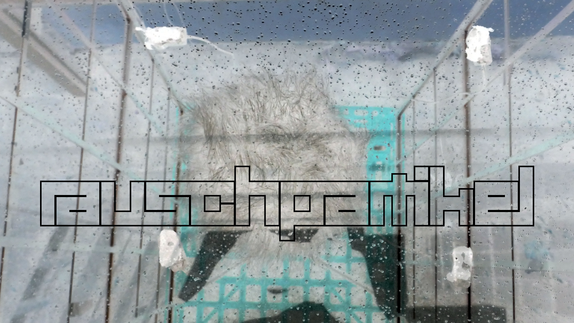 2022-02-16 Das Kleine Regen Rhythmus Orchester (Fensterglas einfach, im Bilderrahmen, III) (Audio, Video)