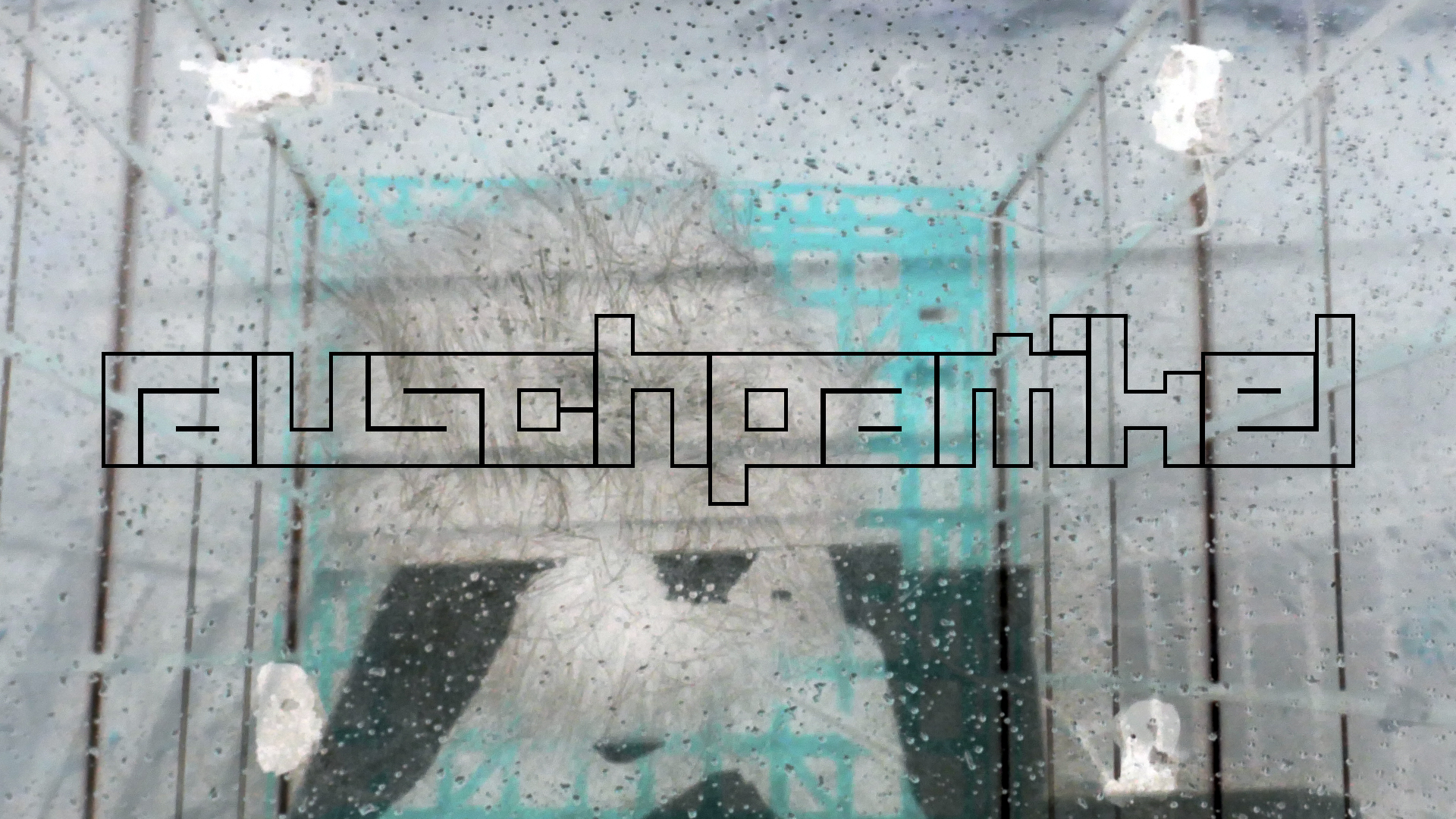 2022-02-16 Das Kleine Regen Rhythmus Orchester (Fensterglas einfach, im Bilderrahmen, III) (Audio, Video)