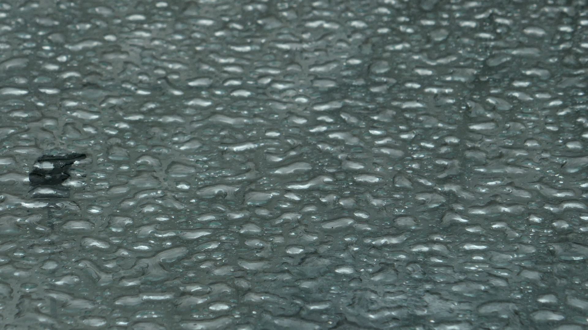 2022-02-16 Das Kleine Regen Rhythmus Orchester (Fensterglas einfach, im Bilderrahmen, III) (Audio, Video)