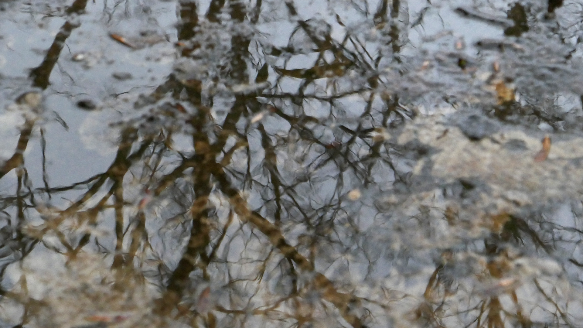 2022-02-17 Das Kleine Regen Rhythmus Orchester - Regen und Wind (Audio, Video)